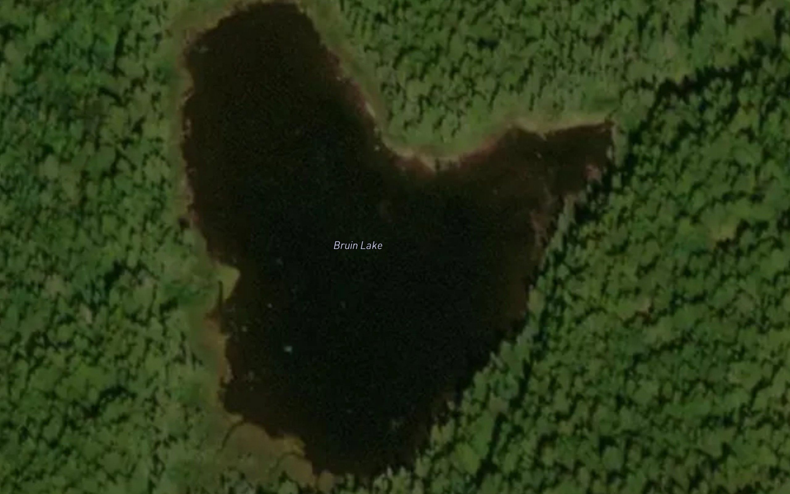 Bruin Lake