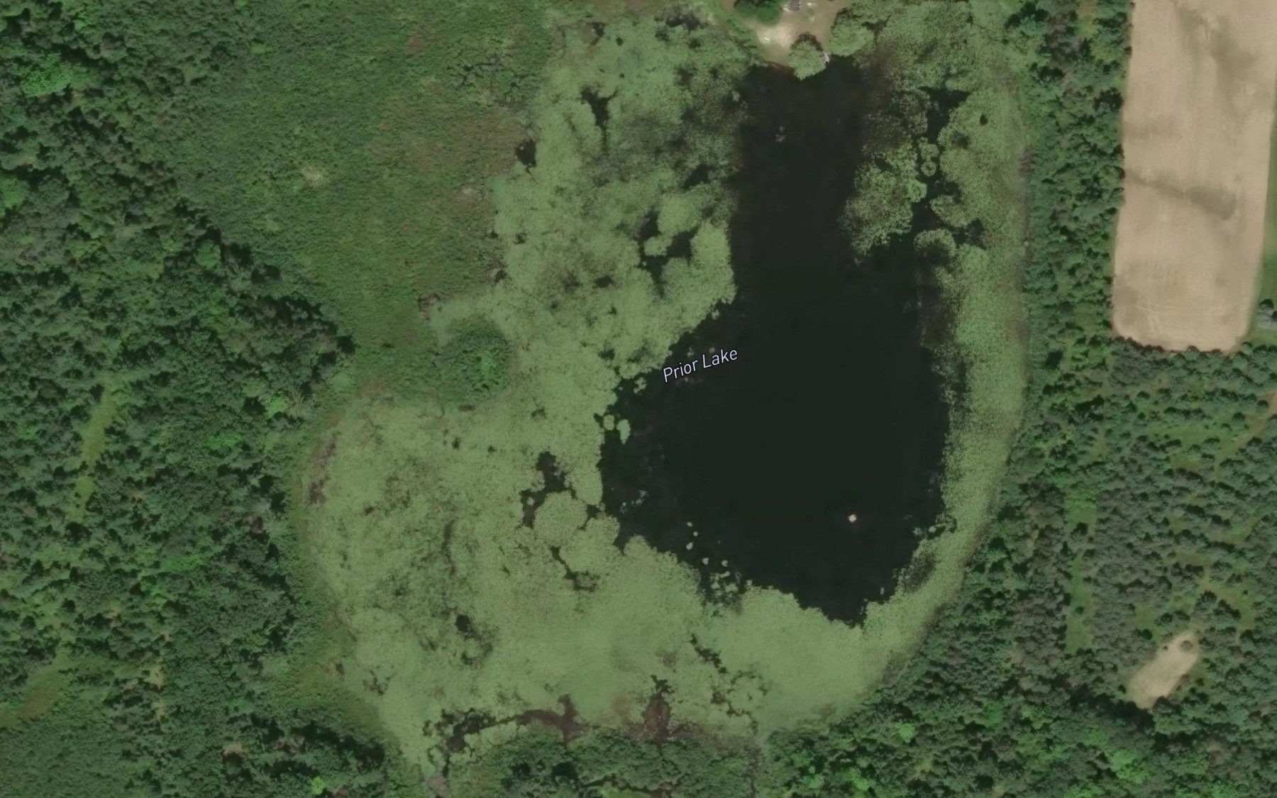 Satellite map of the Prior Lake