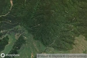 Ohinewai Stream