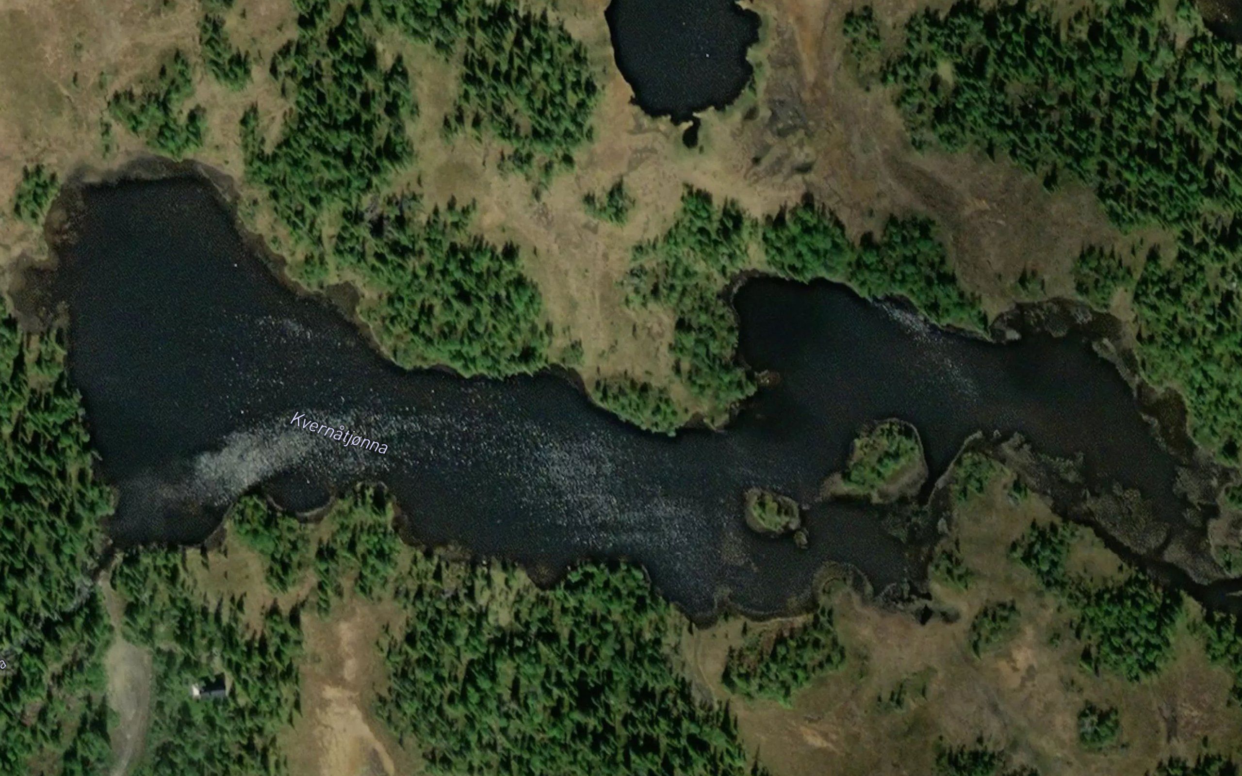 Kvernatjorna