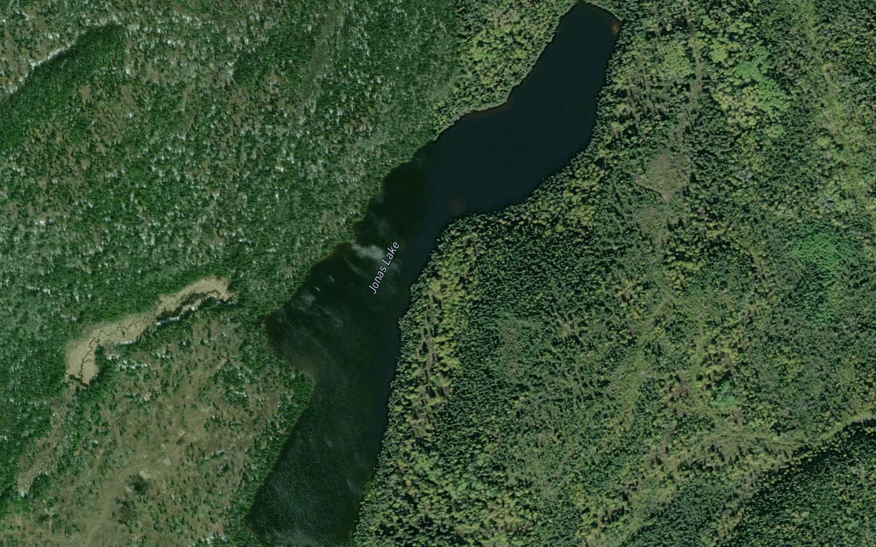 Satellite map of the Jonas Lake