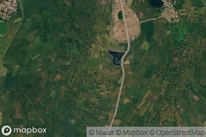 Tulsi Minor Number Two