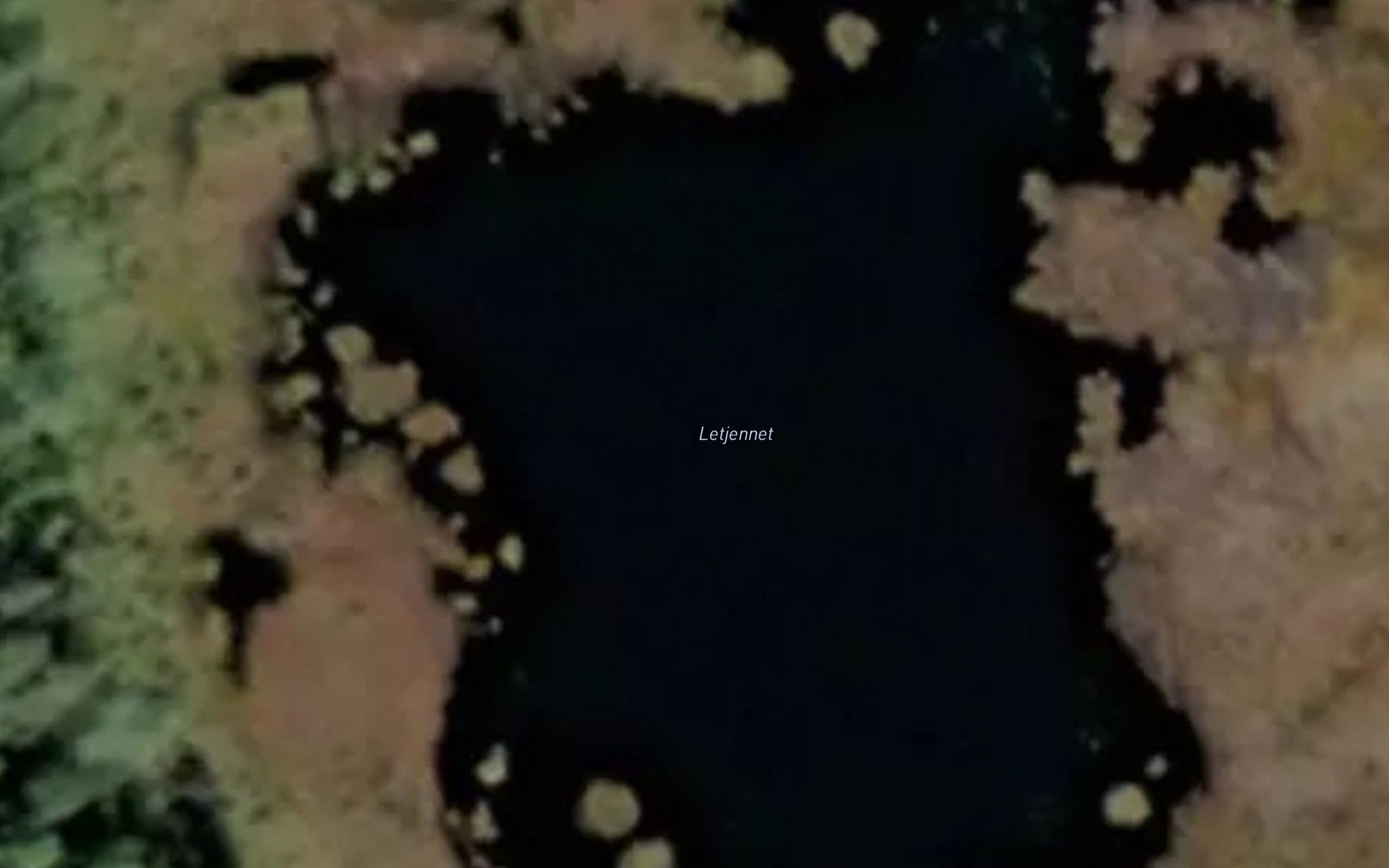 Letjennet