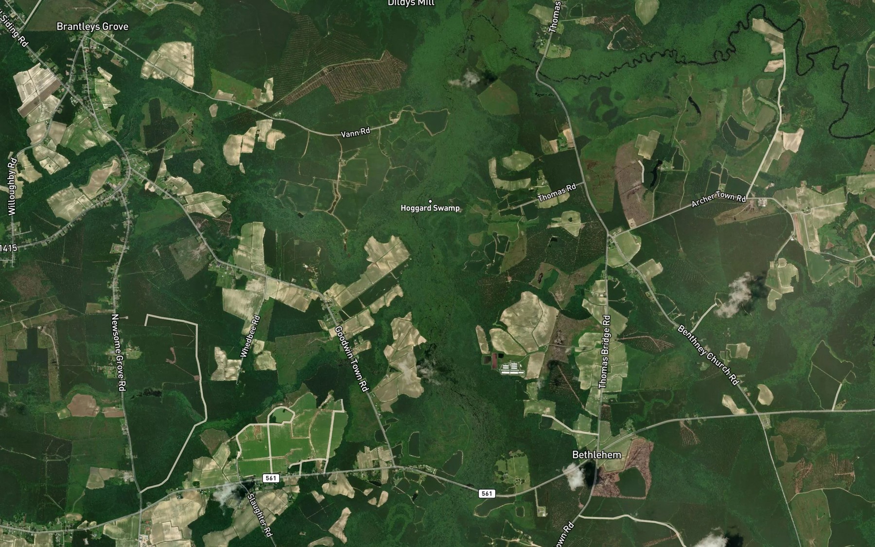 Satellite map of the Whiteoak Swamp
