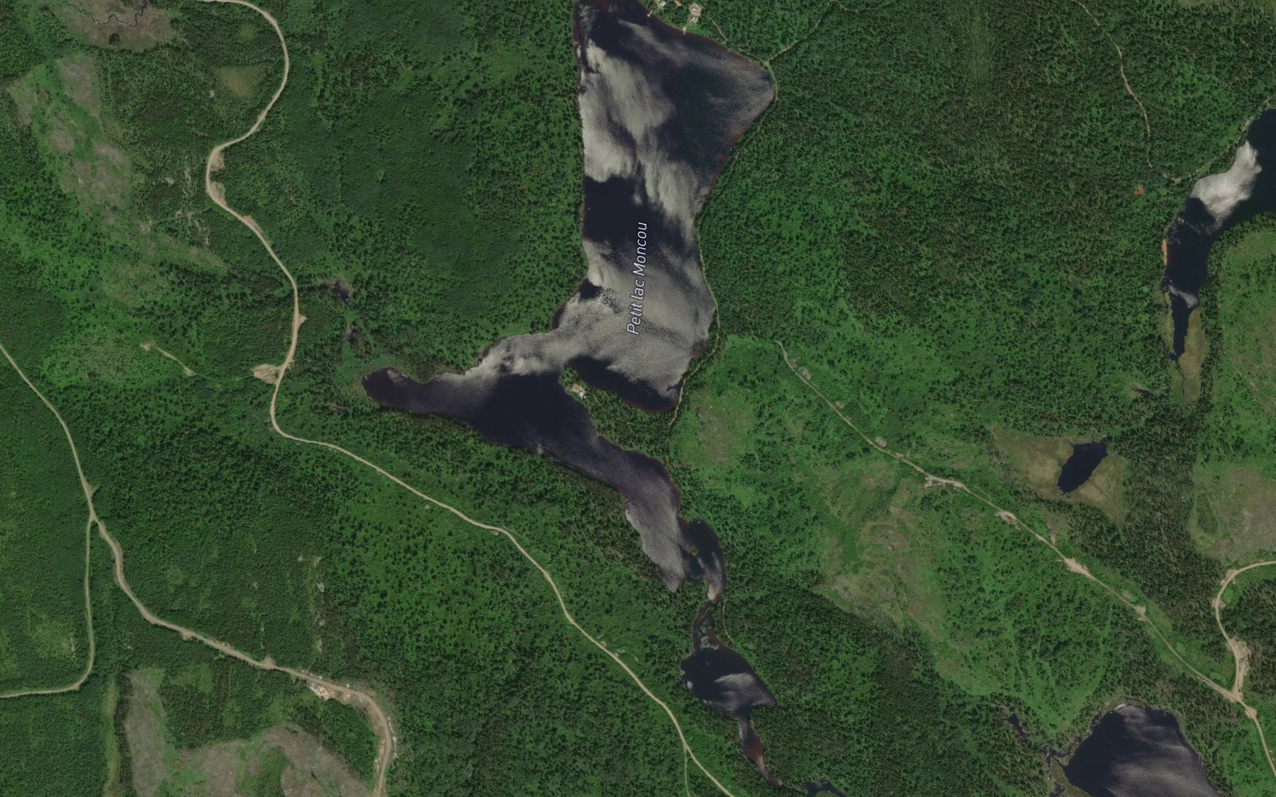 Satellite map of the Petit lac Moncou