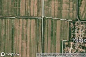 Kollektor Nomer Vosemnatsat'