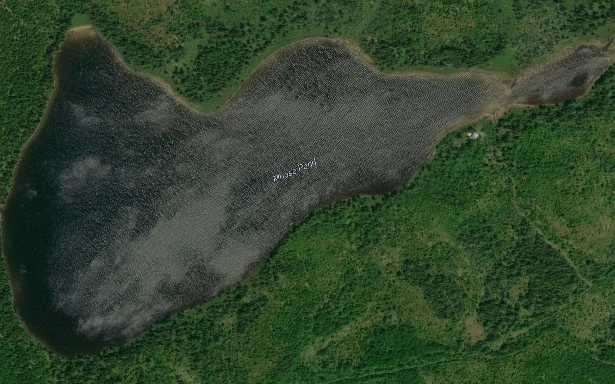 Moose Pond
