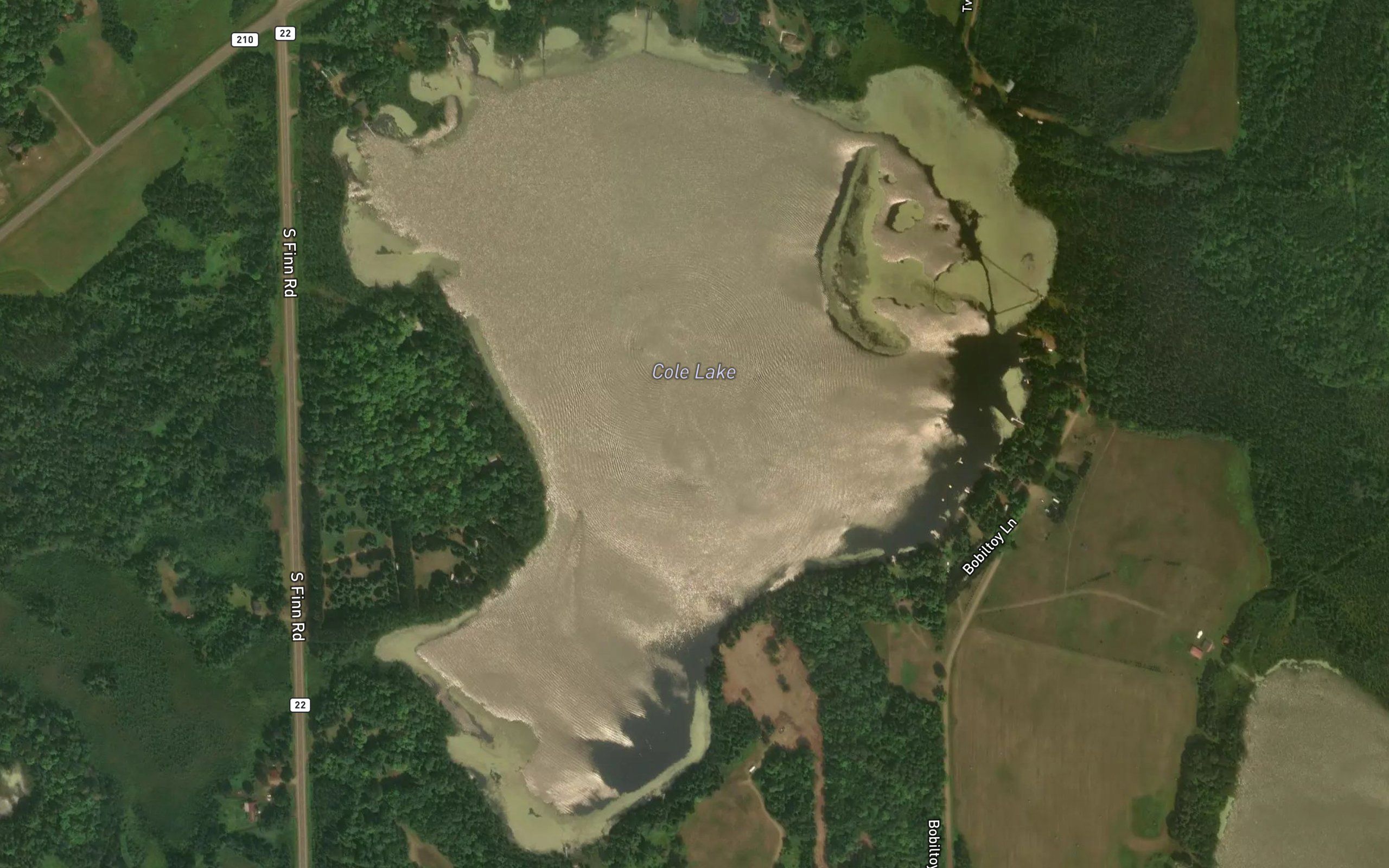 Cole Lake