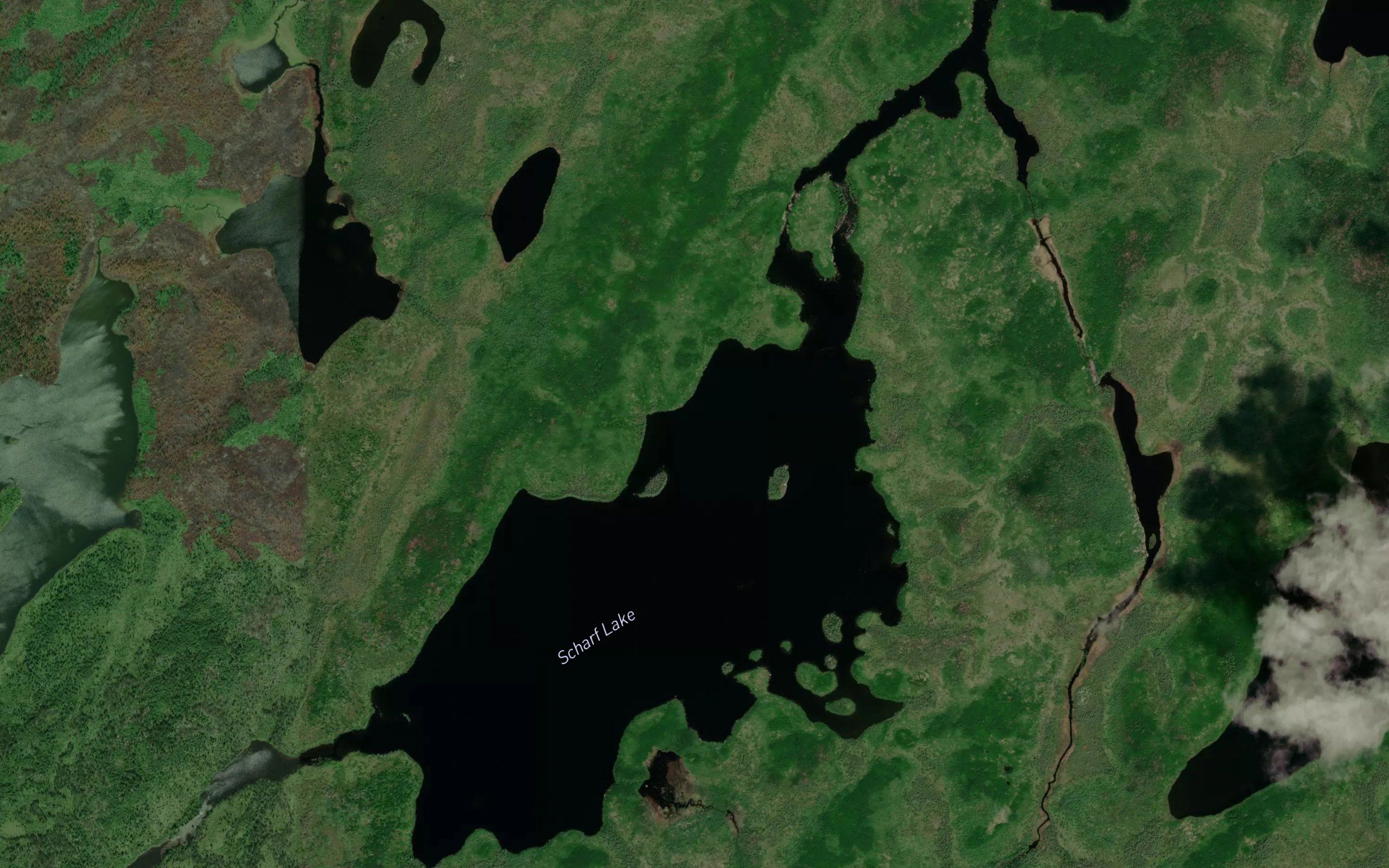 Scharf Lake