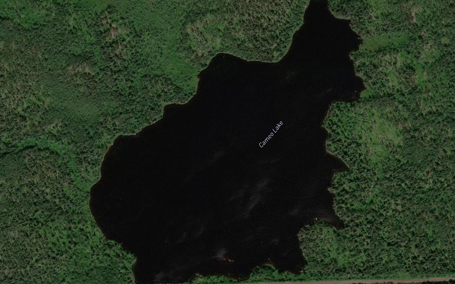 Satellite map of the Cameo Lake