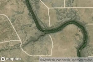 Punche Arroyo