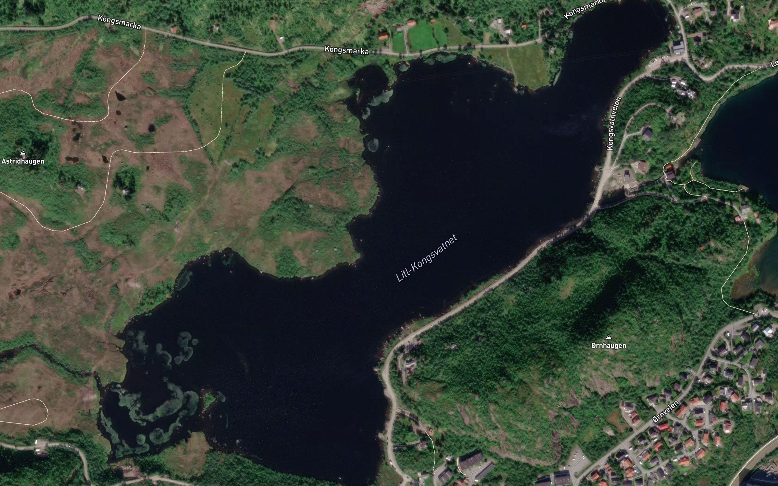 Litl-Kongsvatnet