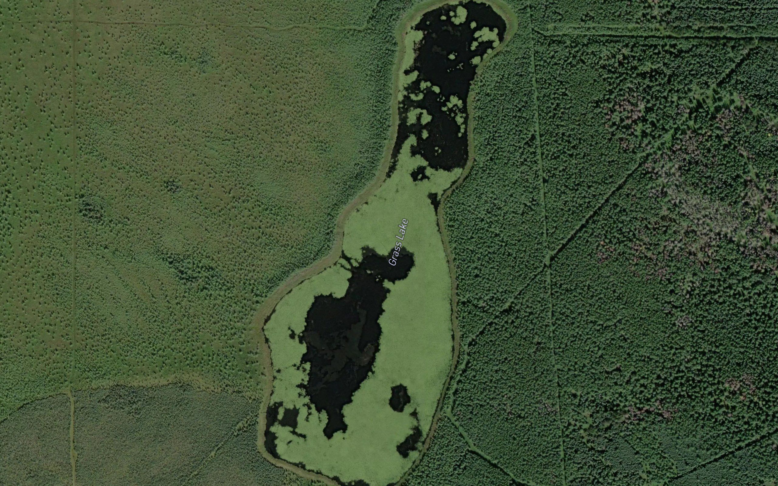 Grass Lake