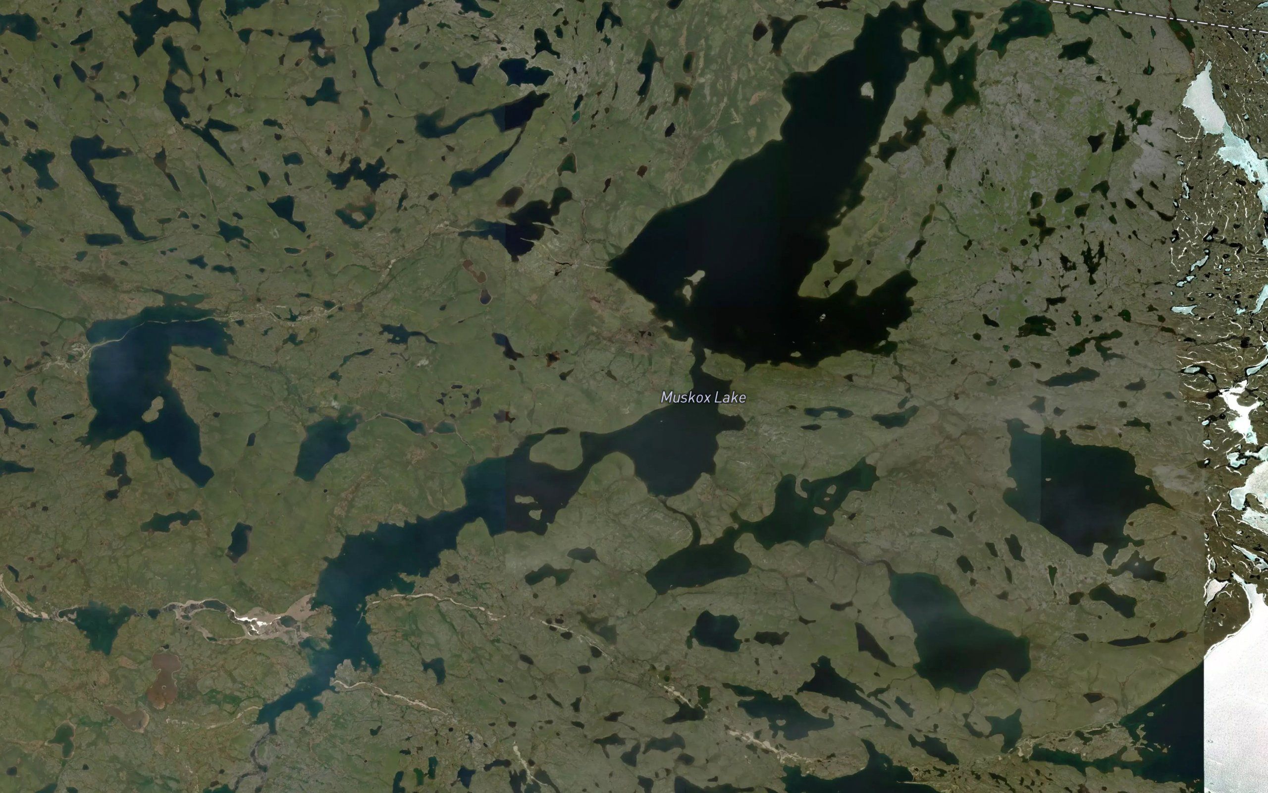 Muskox Lake