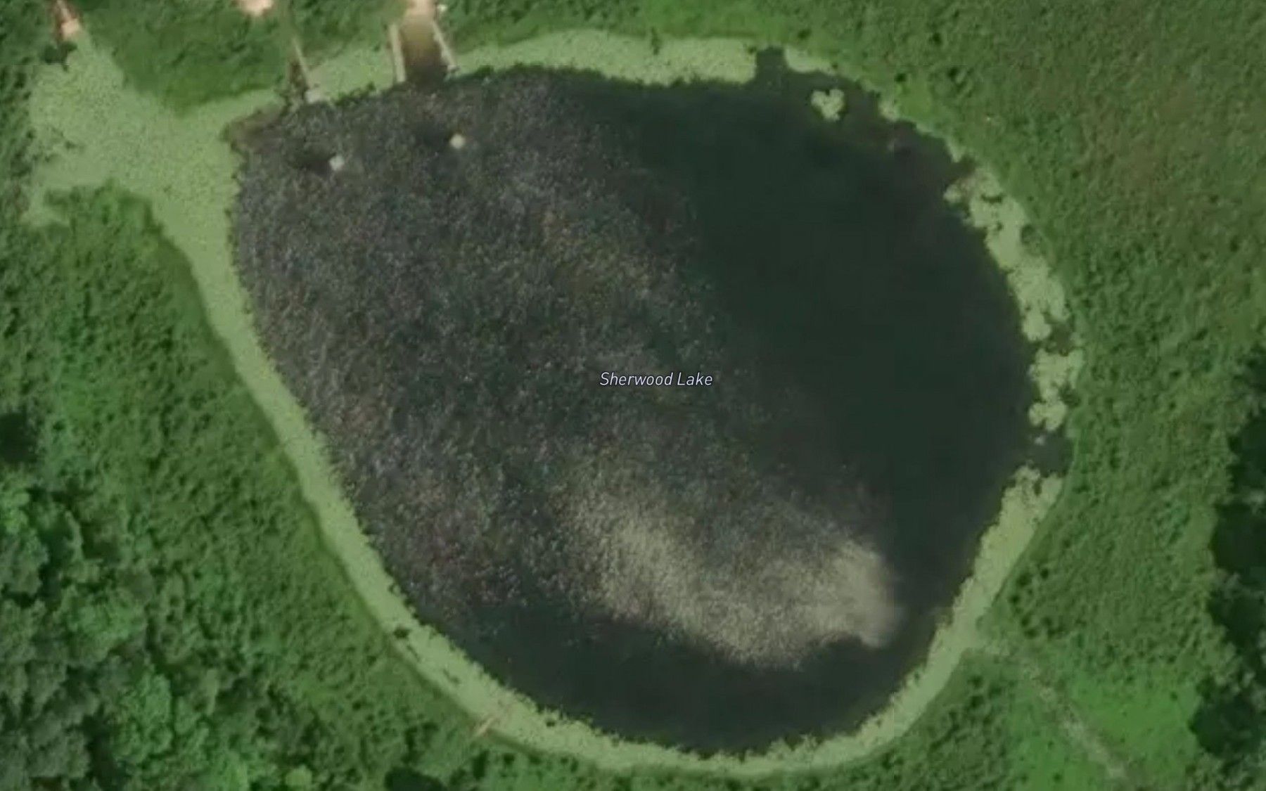 Satellite map of the Sherwood Lake