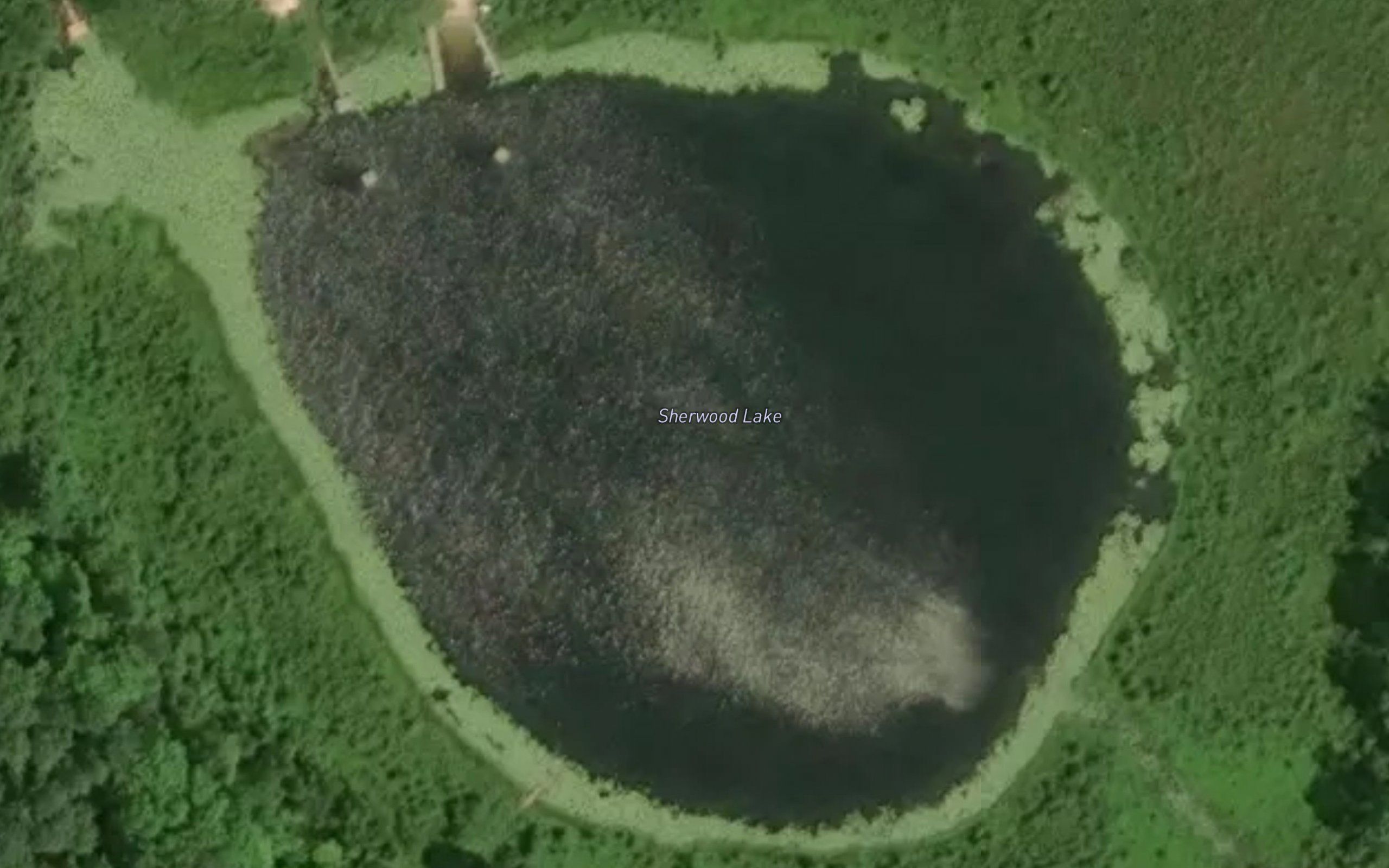 Sherwood Lake