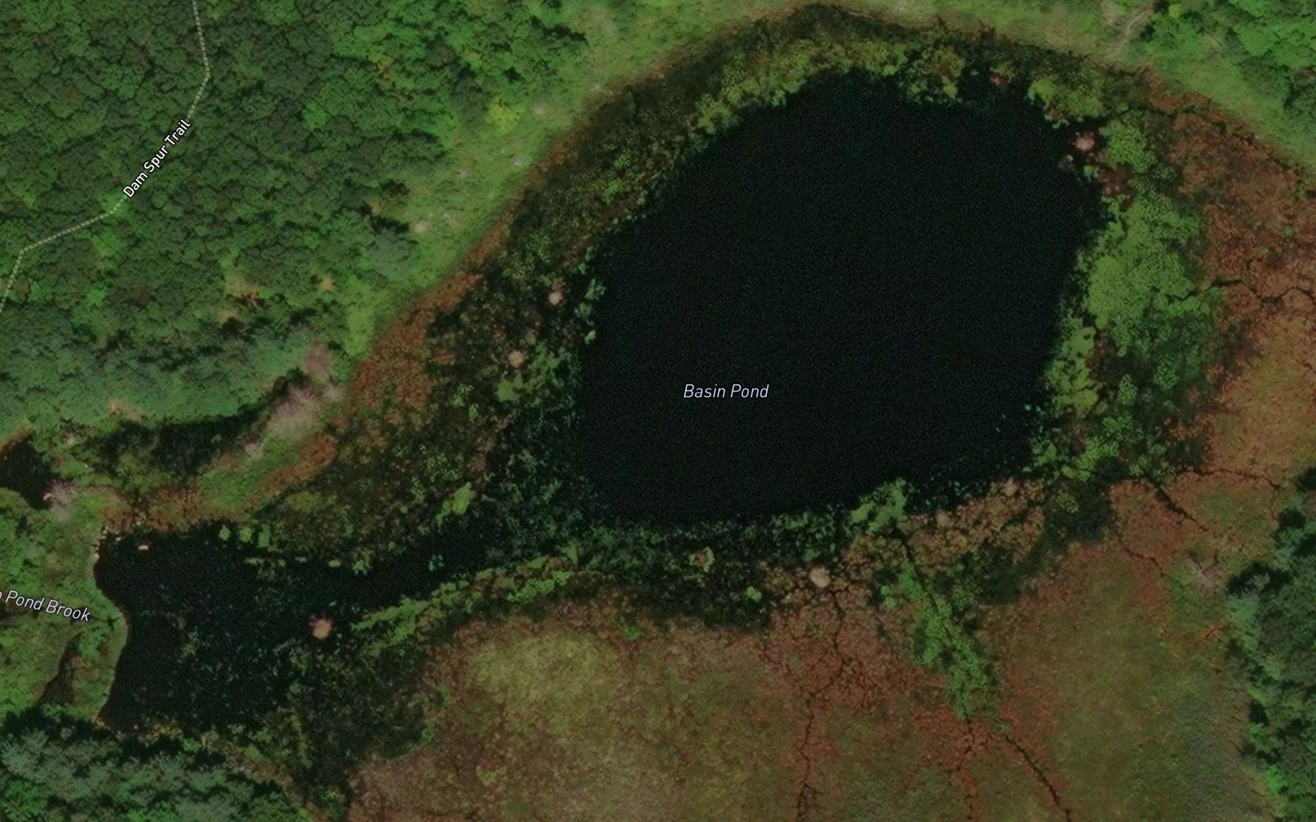 Basin Pond