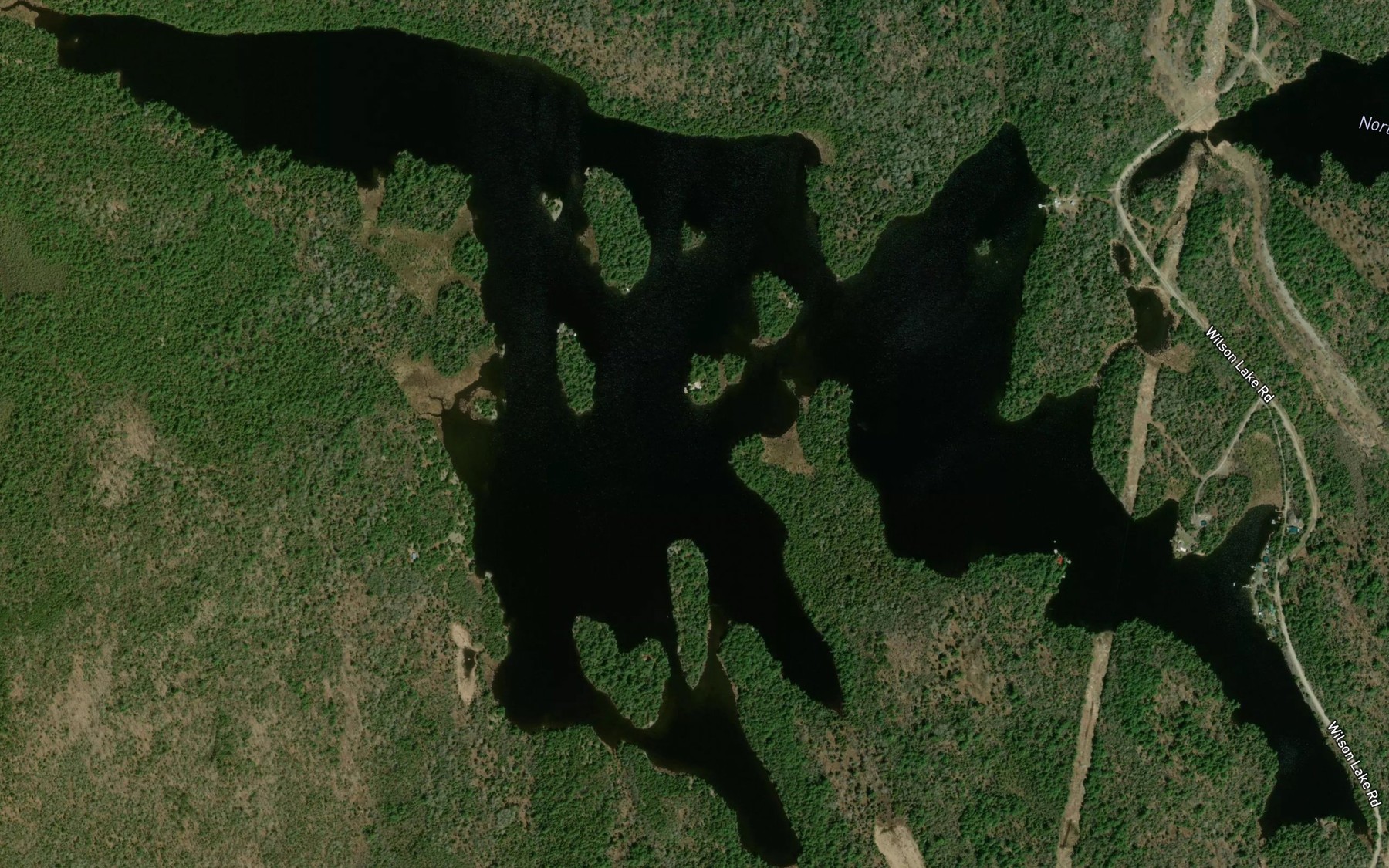 Satellite map of the Wilson Lake