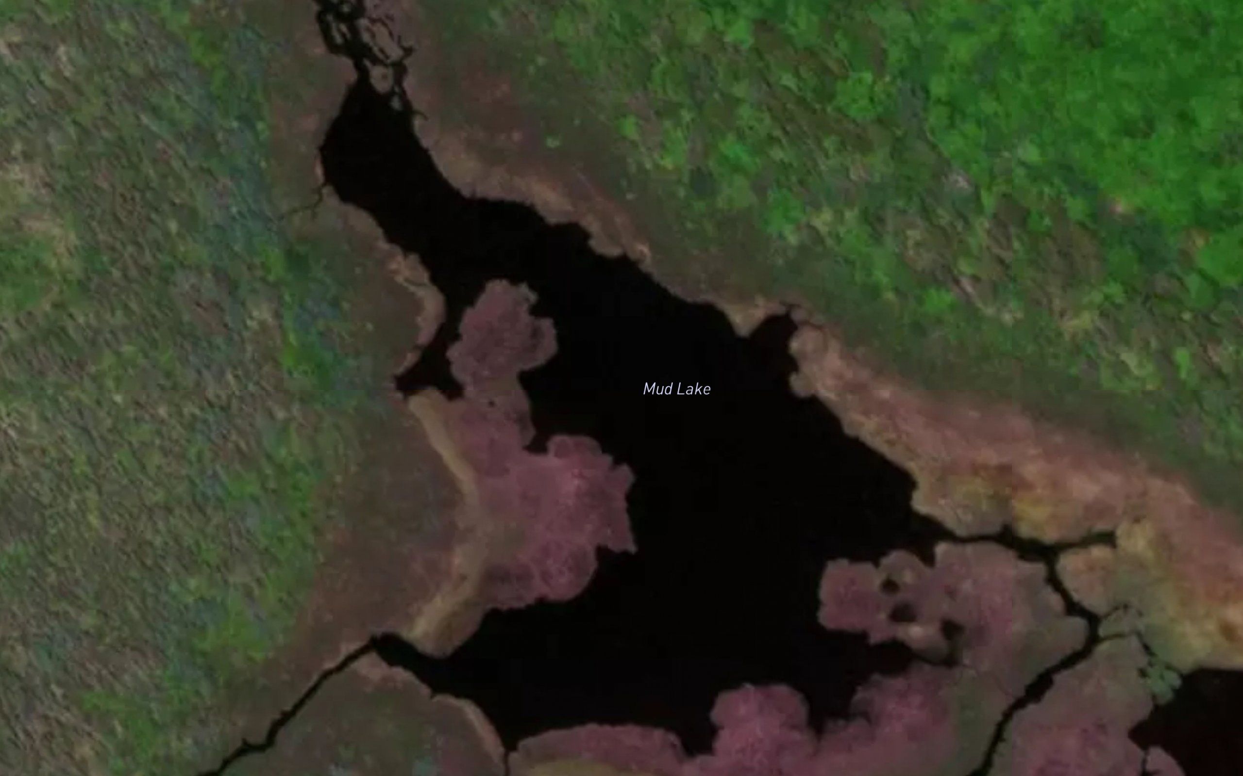 Mud Lake