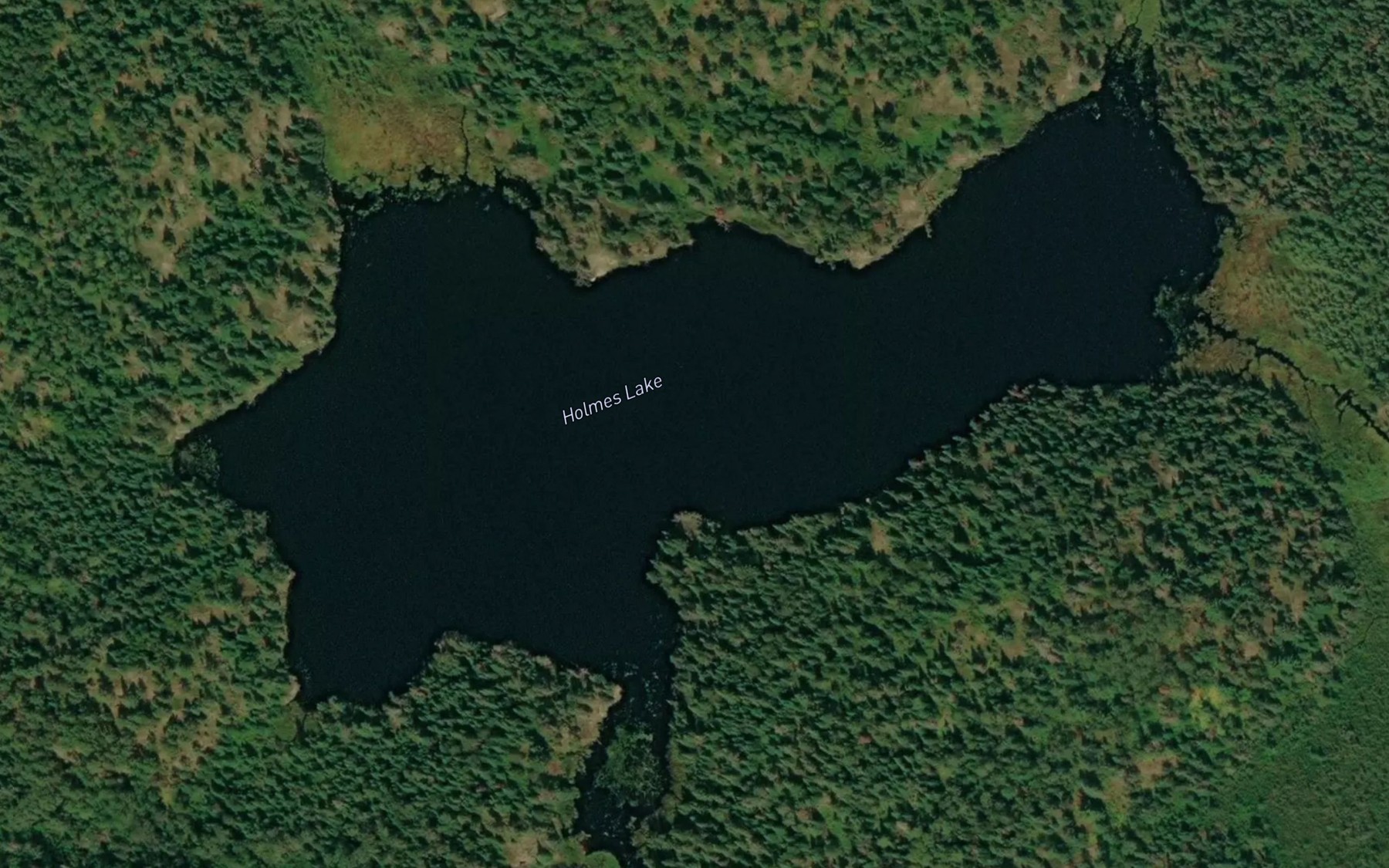 Satellite map of the Holmes Lake