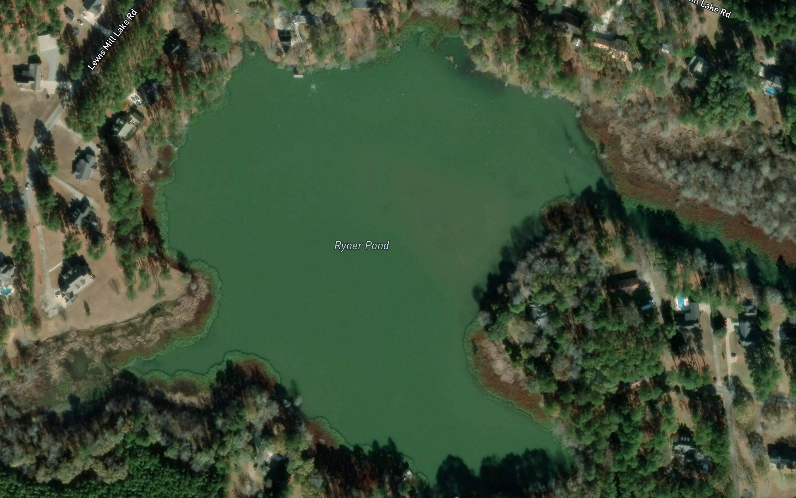 Ryner Pond