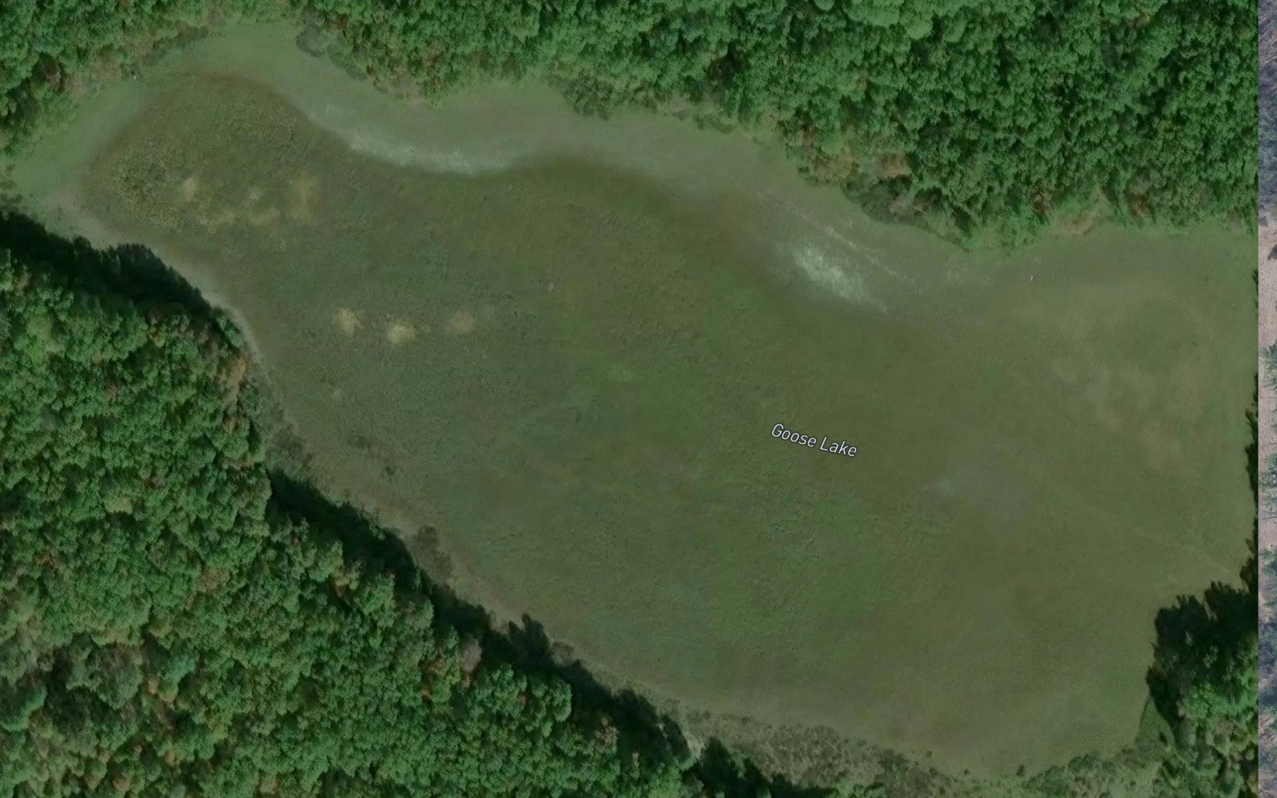 Satellite map of the Goose Lake