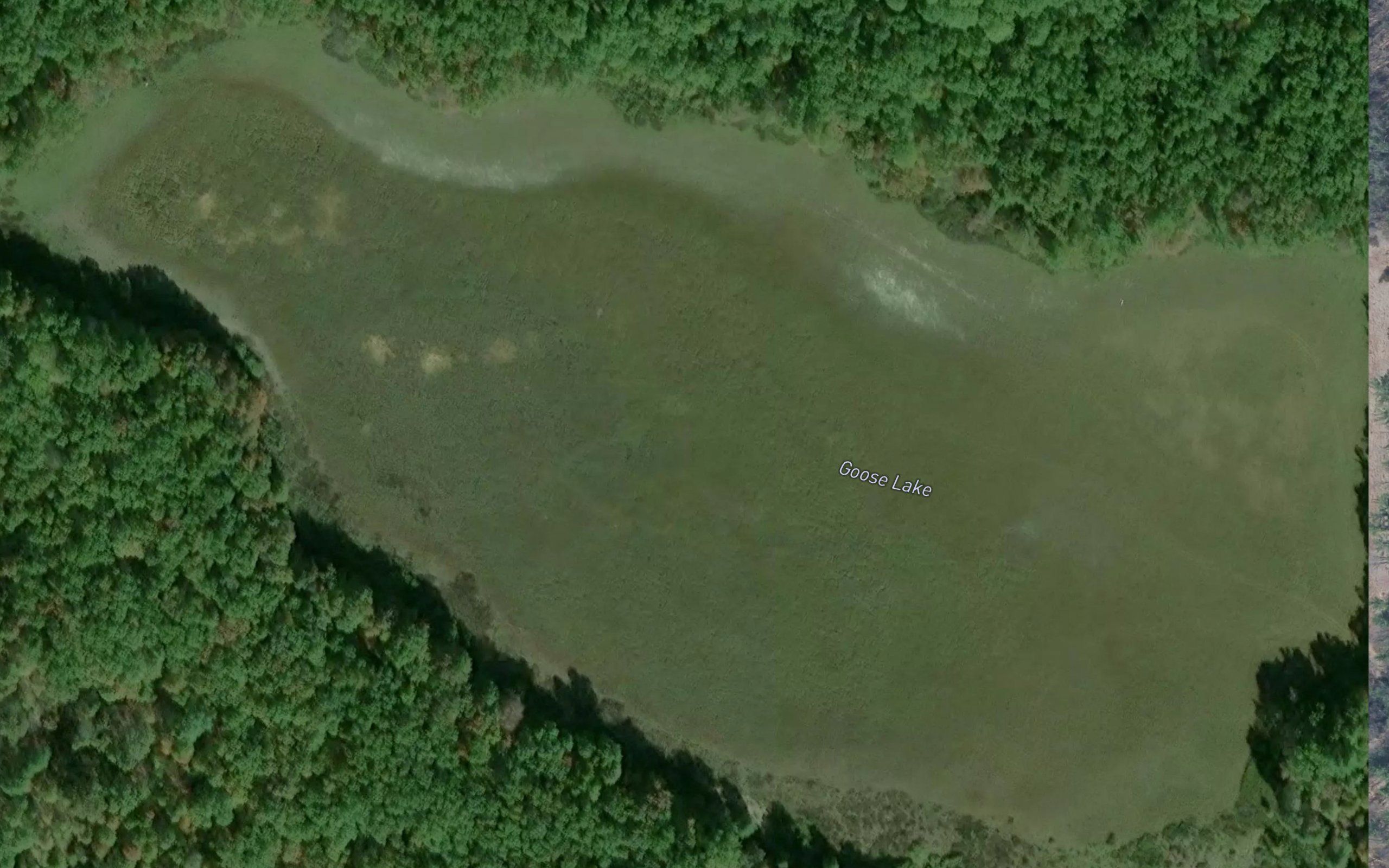 Goose Lake
