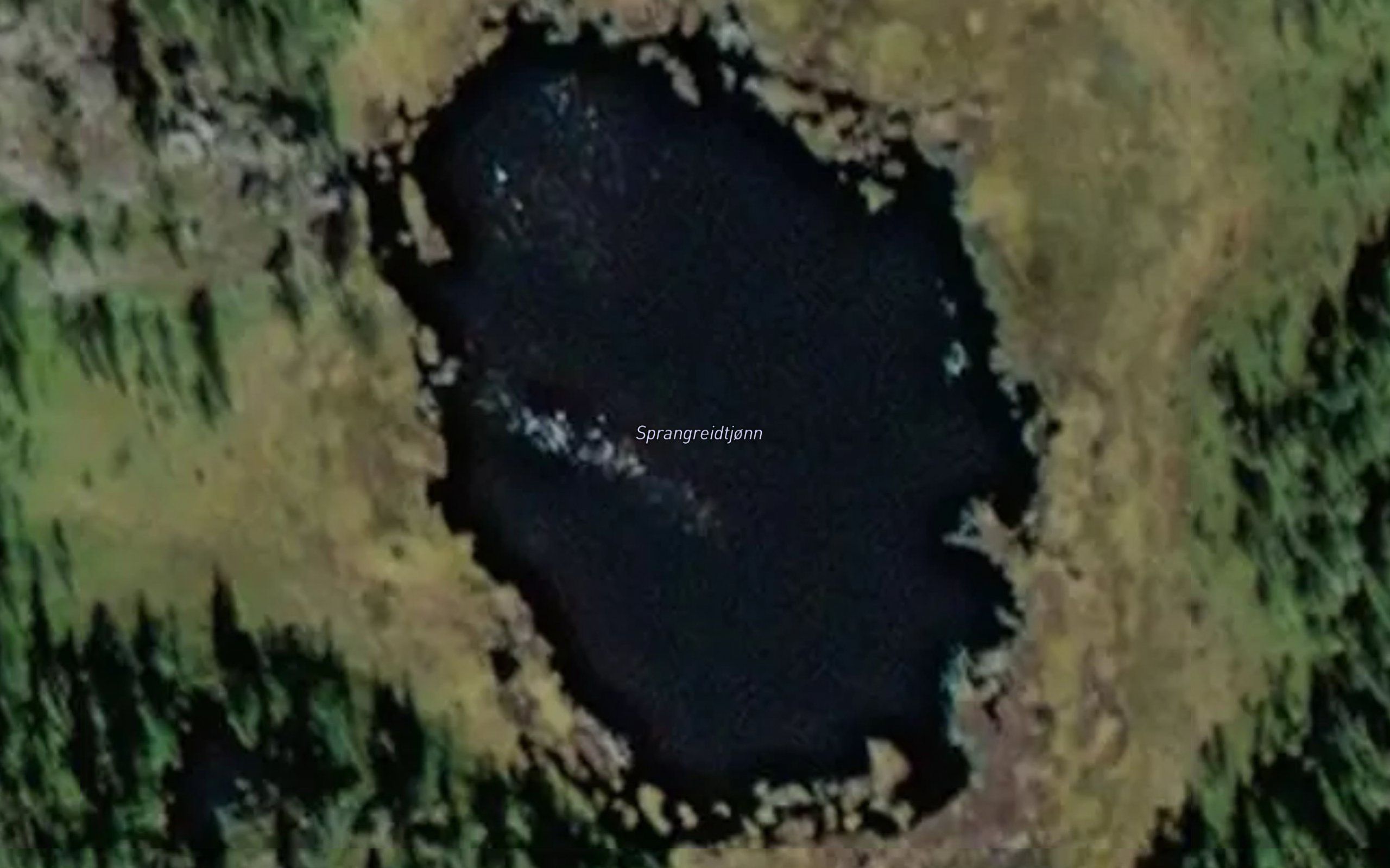 Sprangereidtjorni