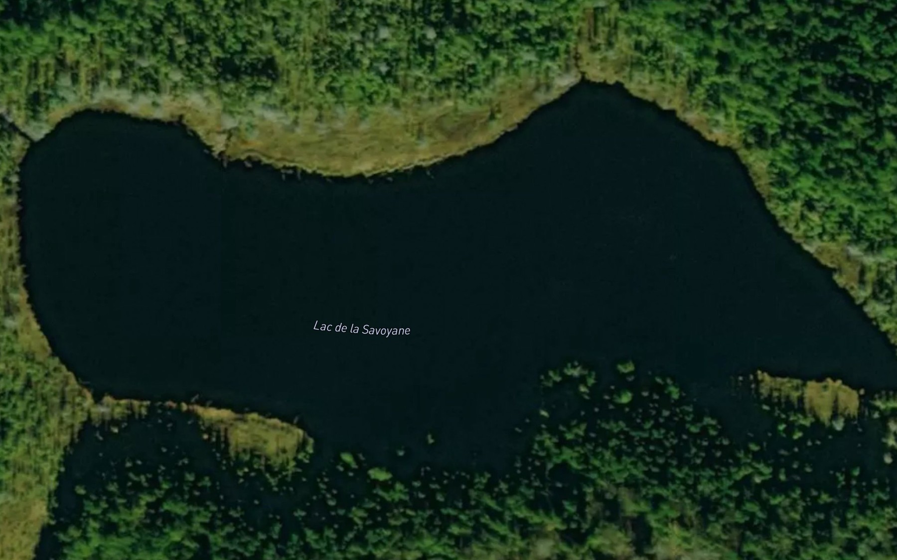 Satellite map of the Lac de la Savoyane