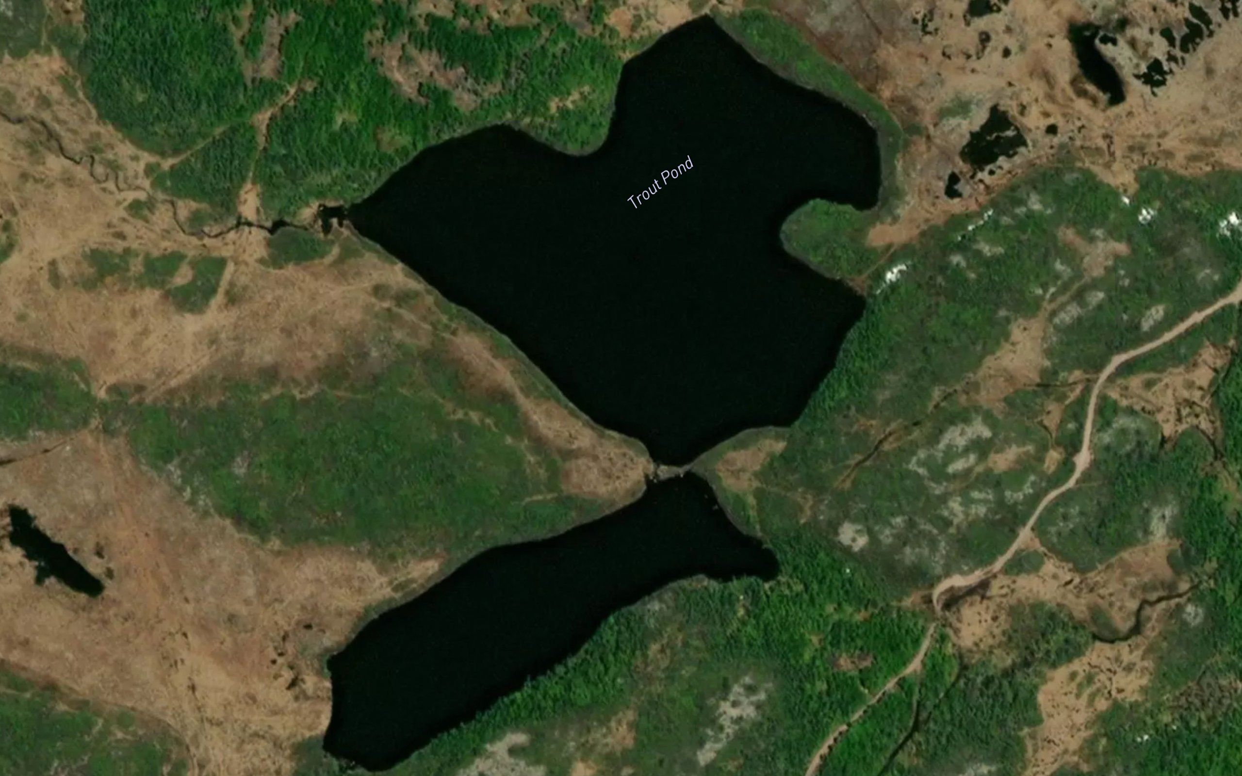 Trout Pond