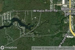 Homosassa Springs