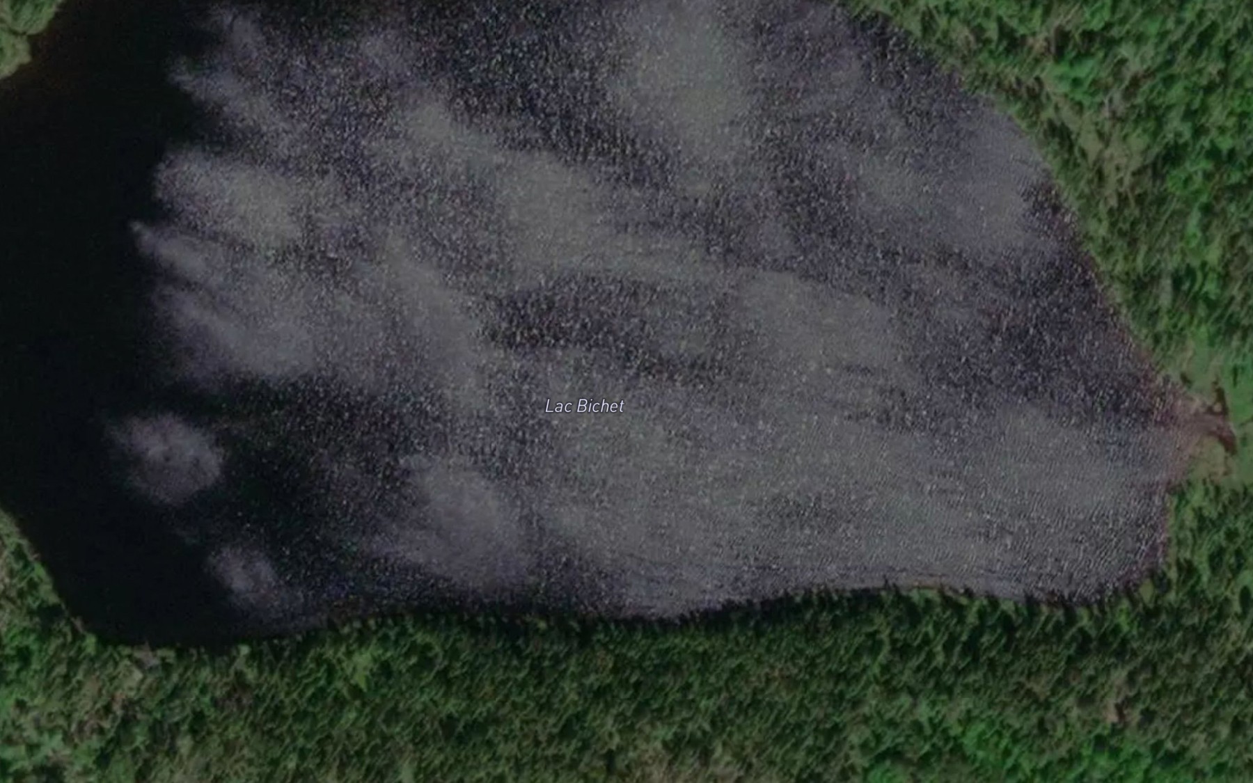Satellite map of the Lac Bichet