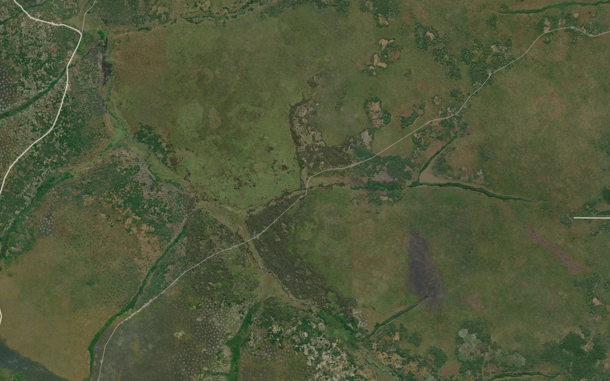 Kandambi