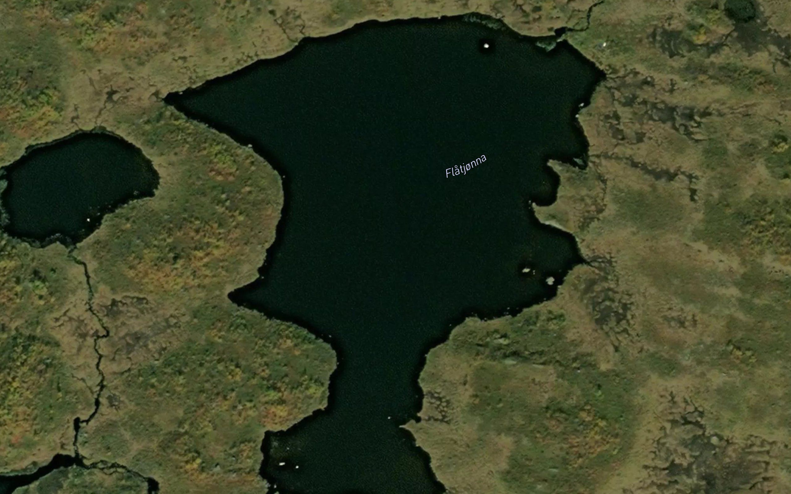 Flatjorna