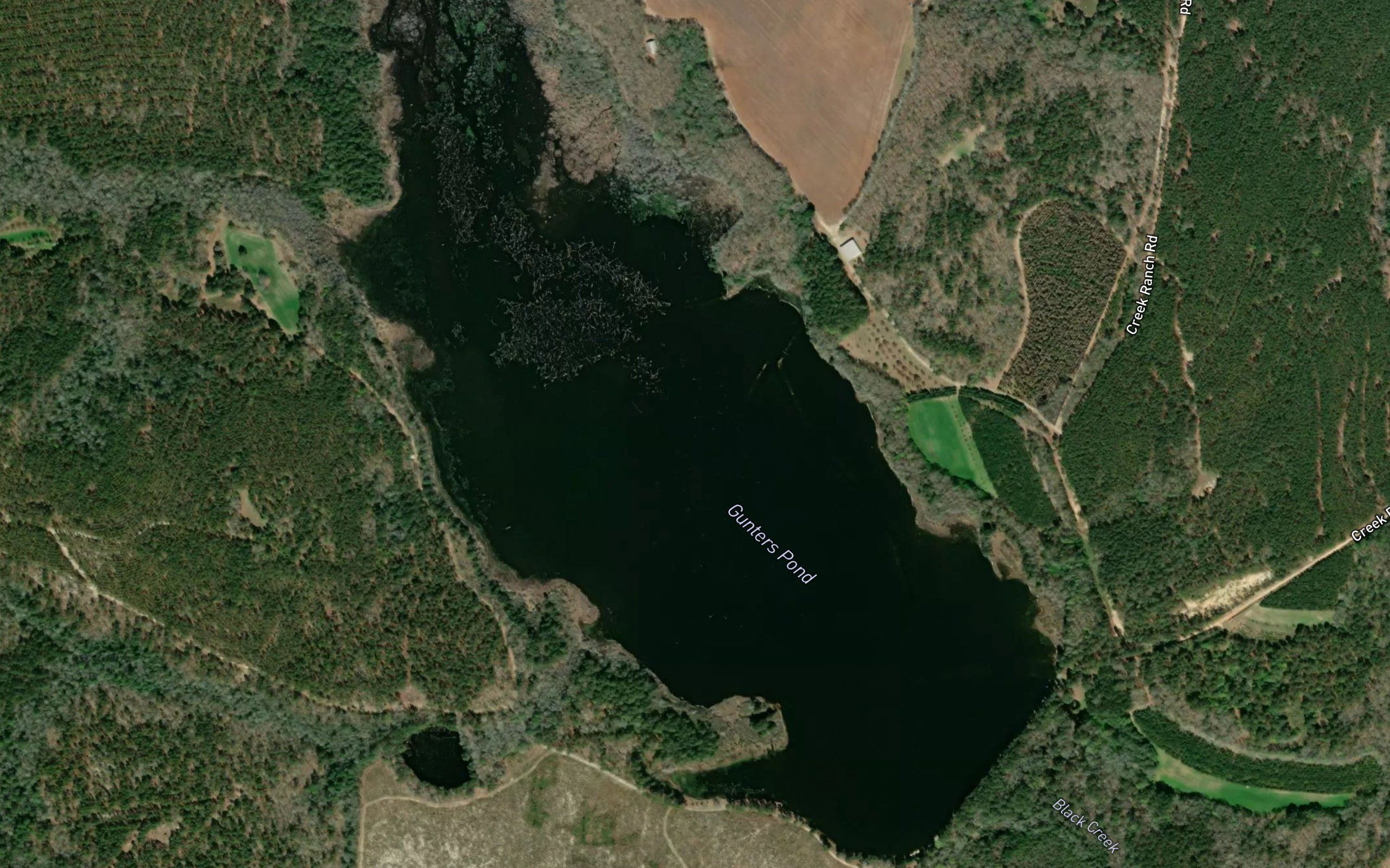 Gunters Pond