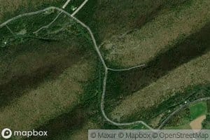 Bear Run