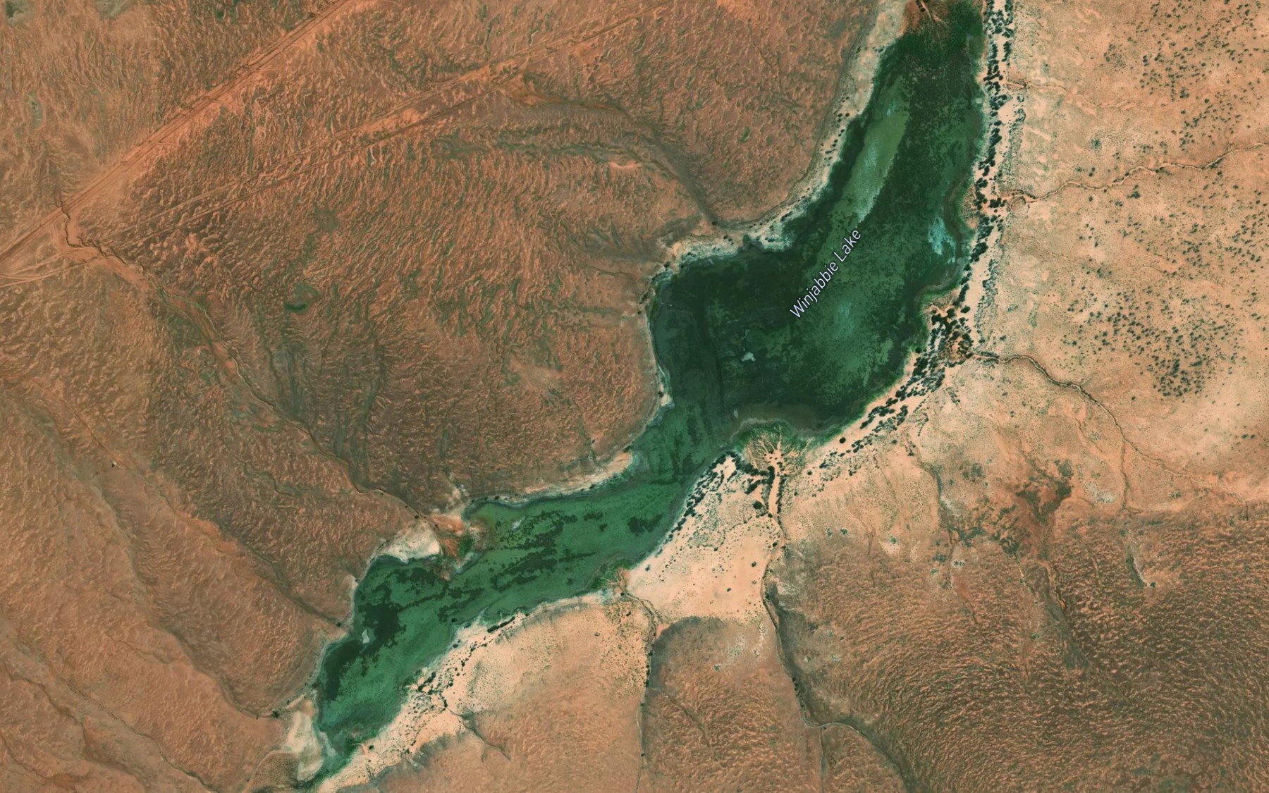 Satellite map of the Lake Winjabbie