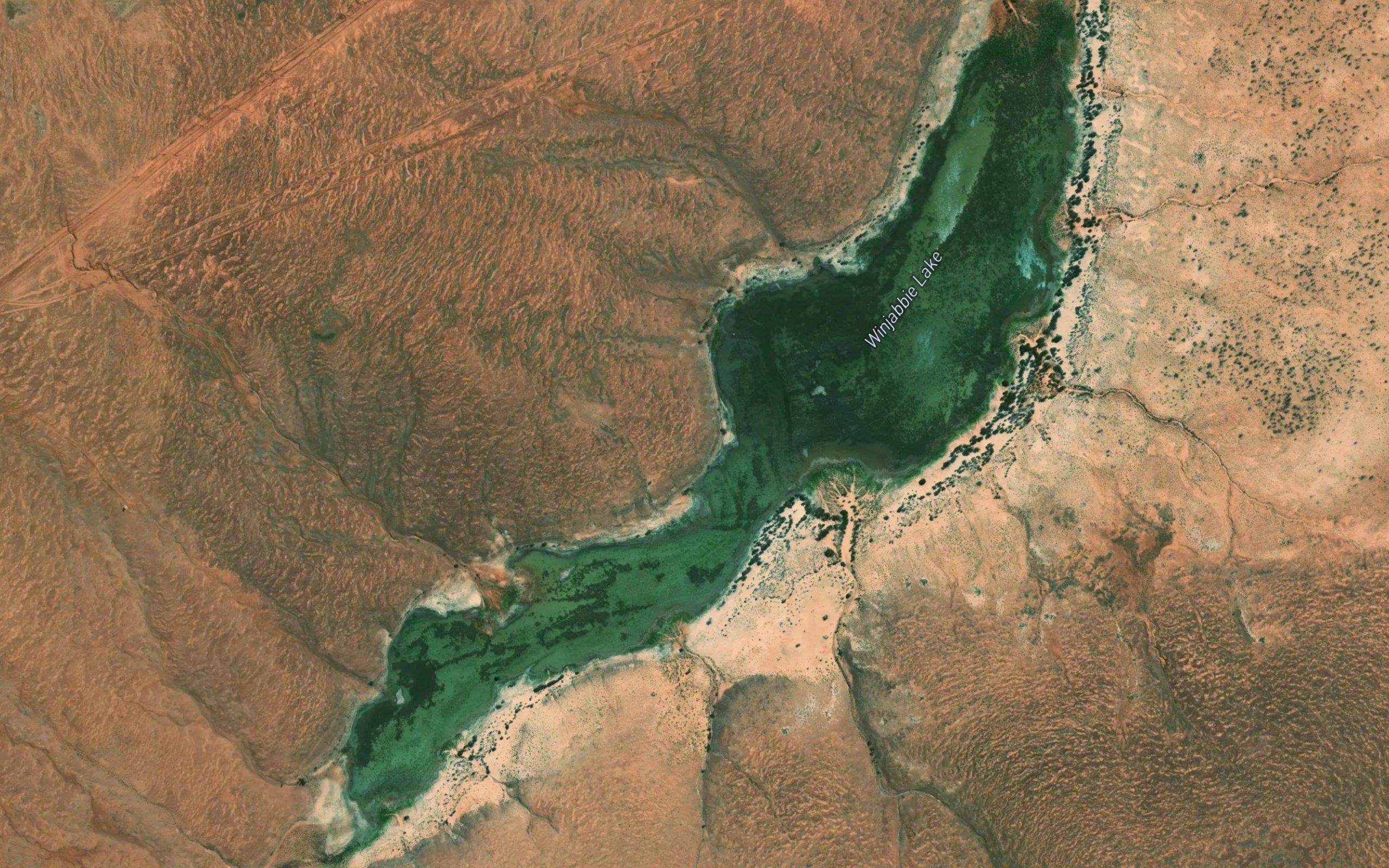 Lake Winjabbie