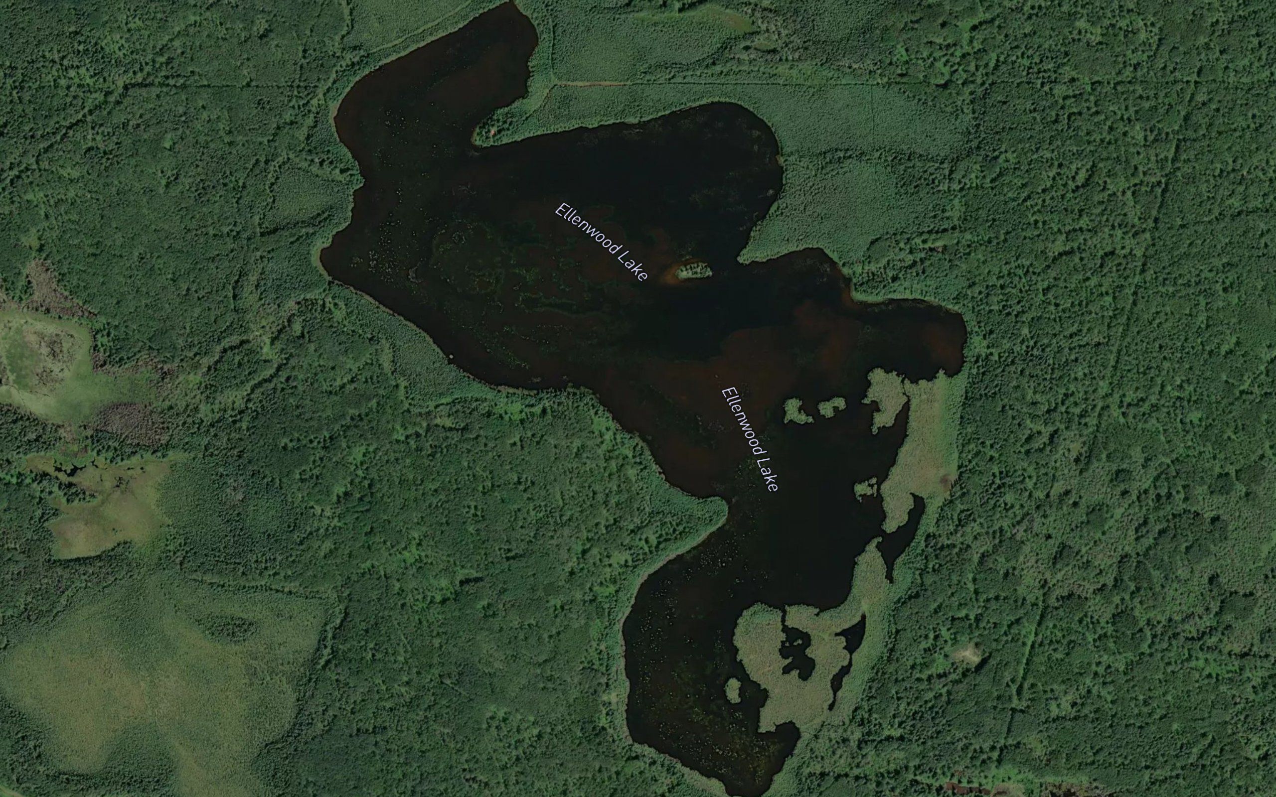 Ellenwood Lake
