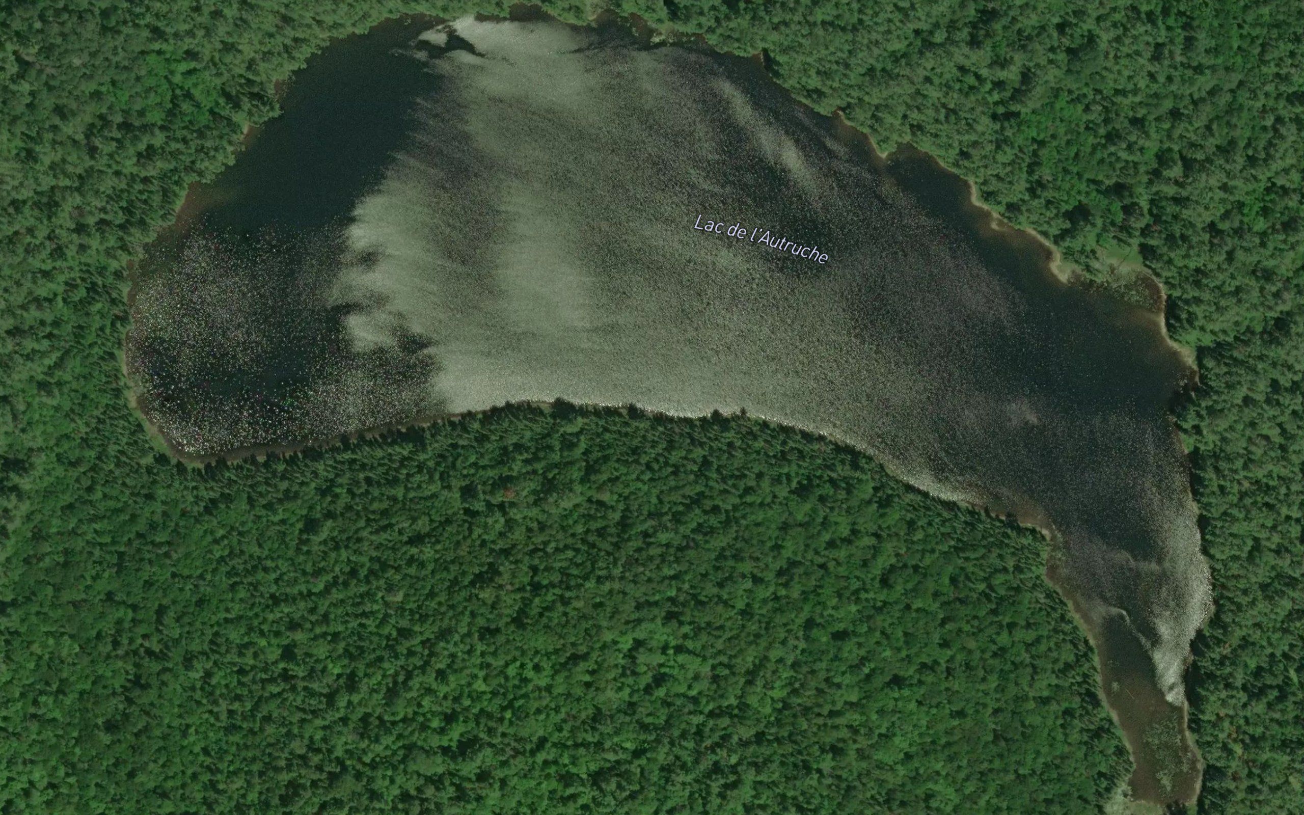 Lac de l'Autruche