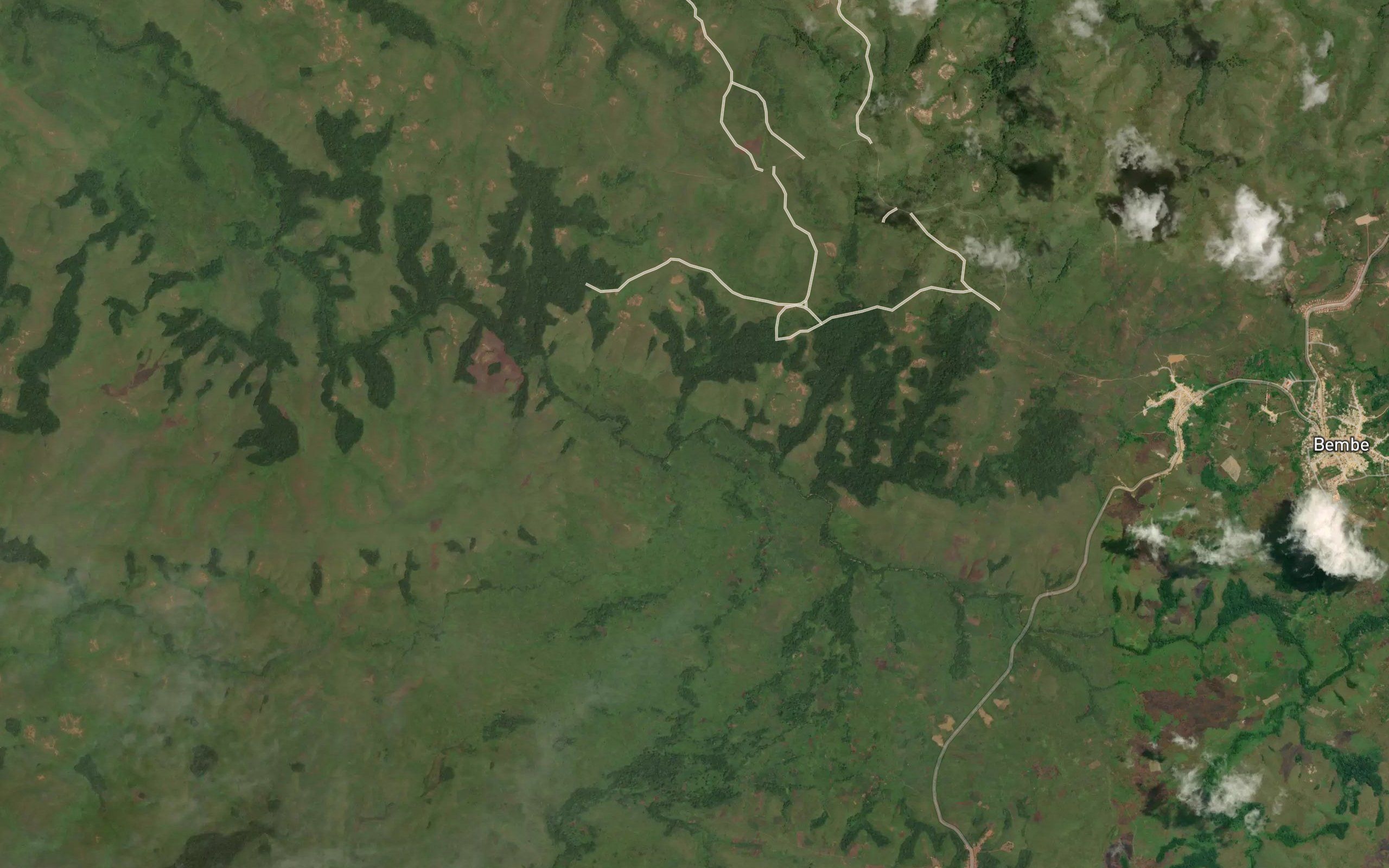Ngundi