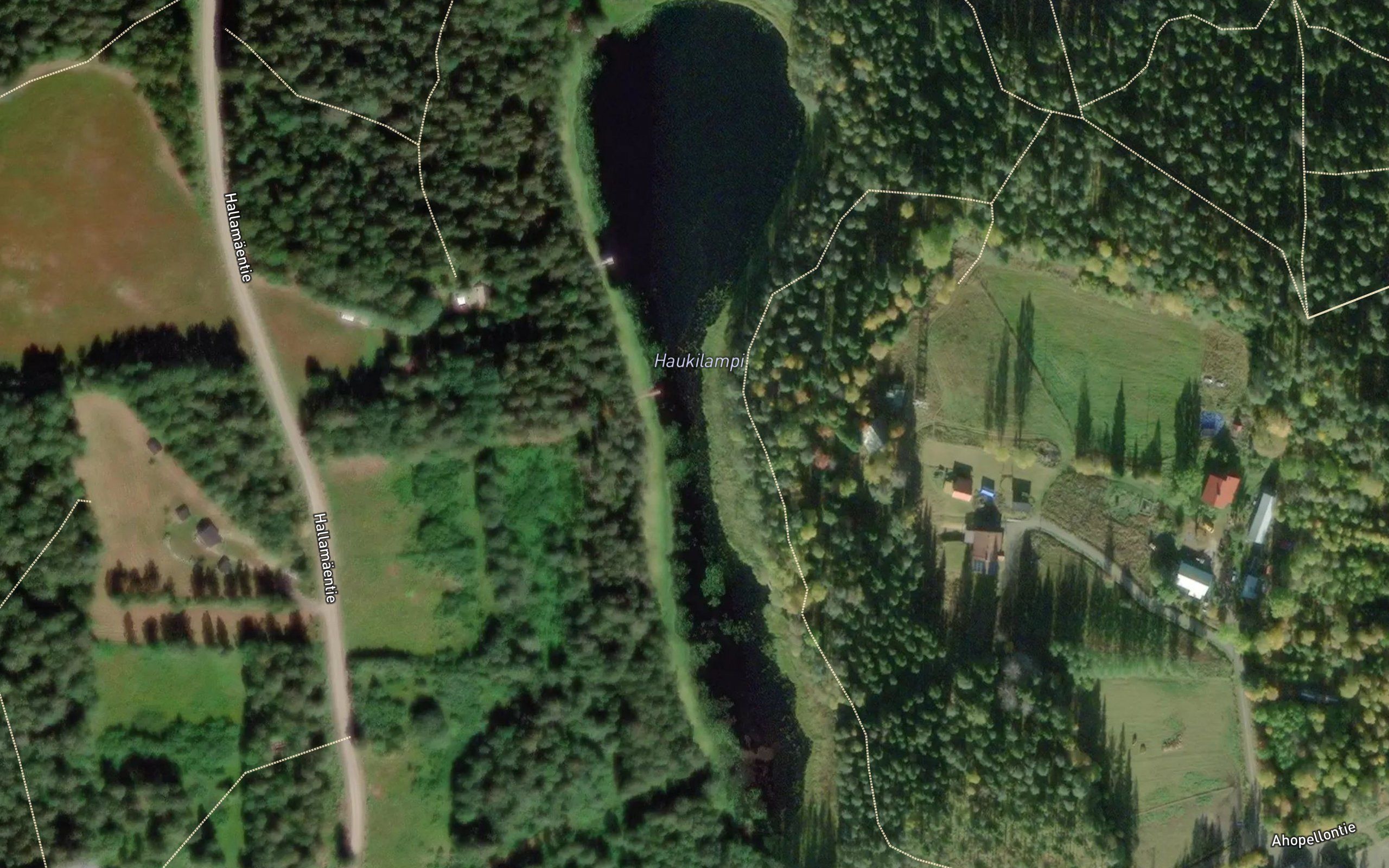 Haukilampi