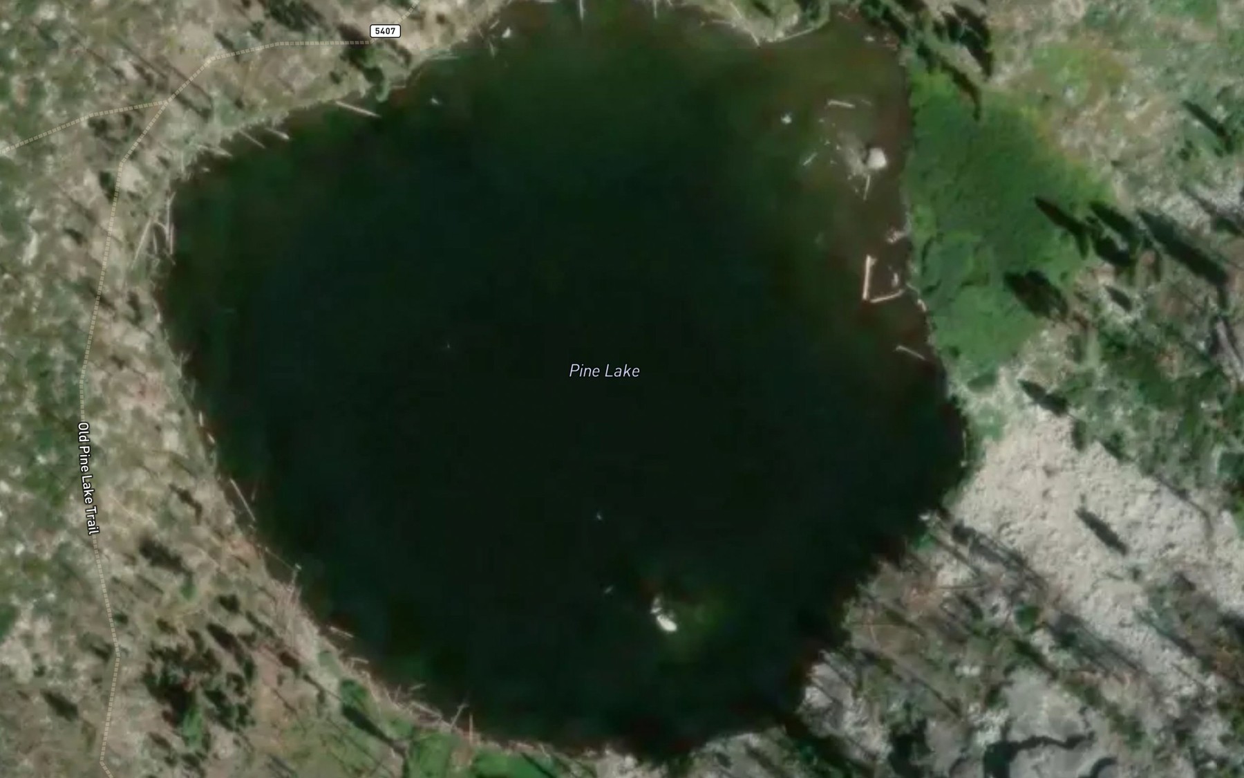 Satellite map of the Pine Lake