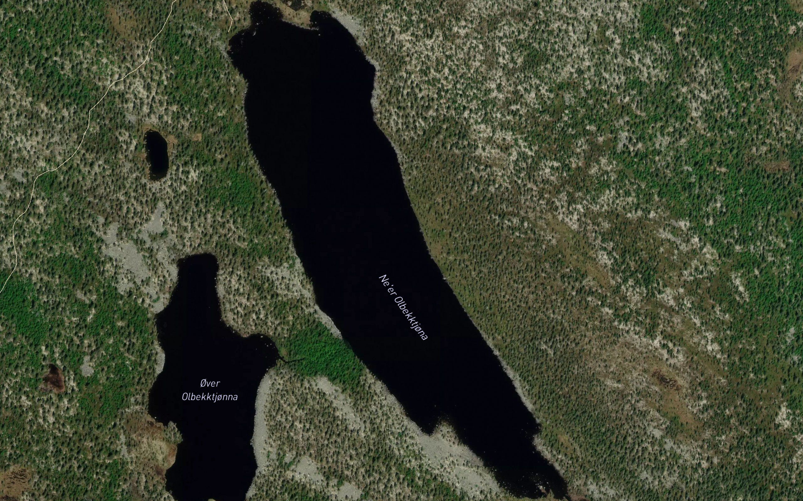 Nedre Olbekktjonna