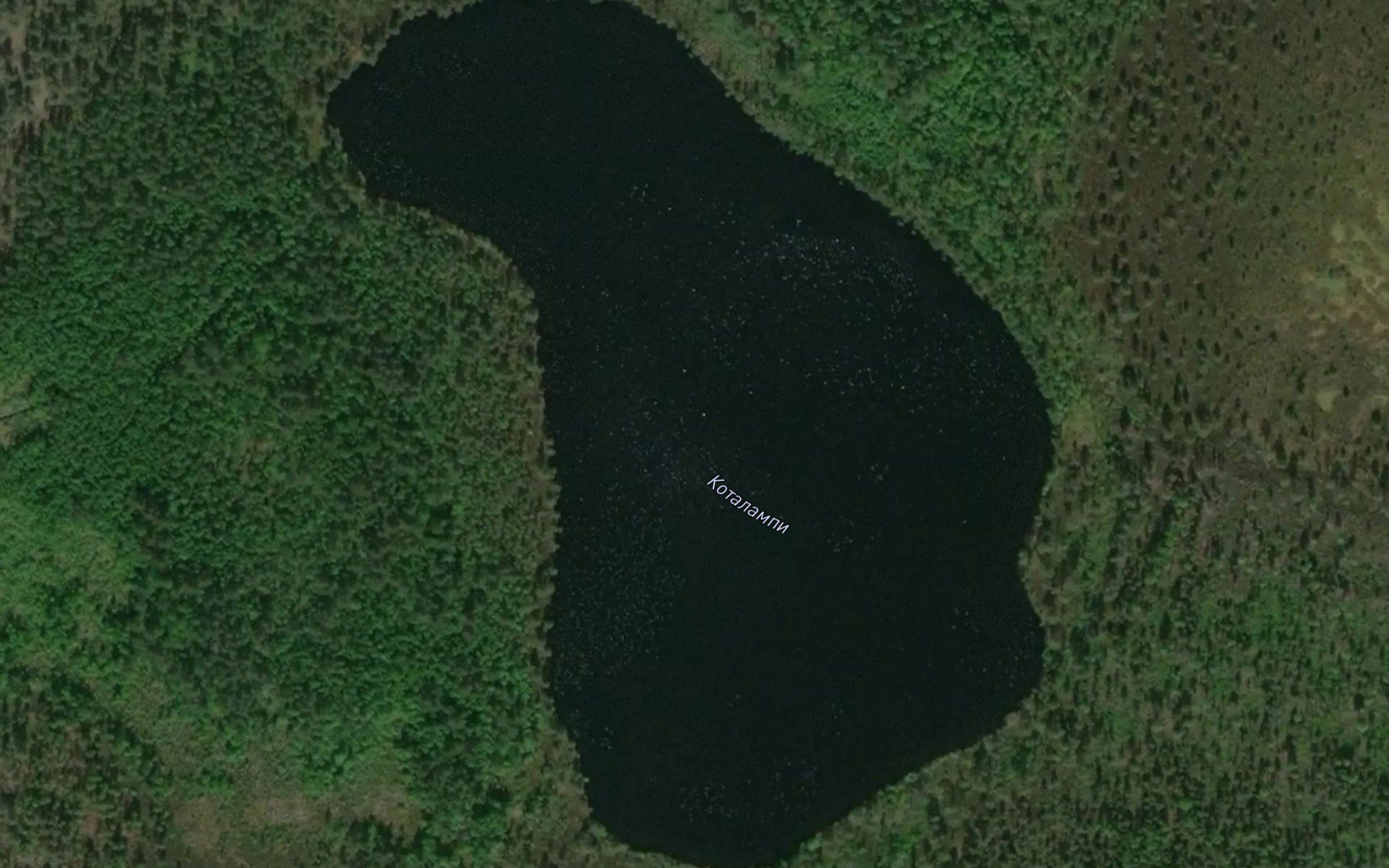 Ozero Kotalampi