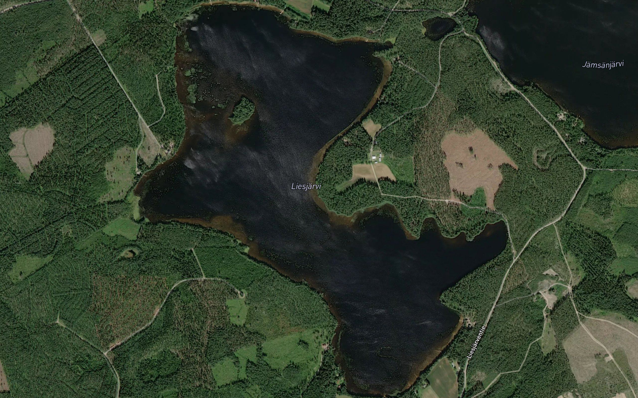 Liesjarvi