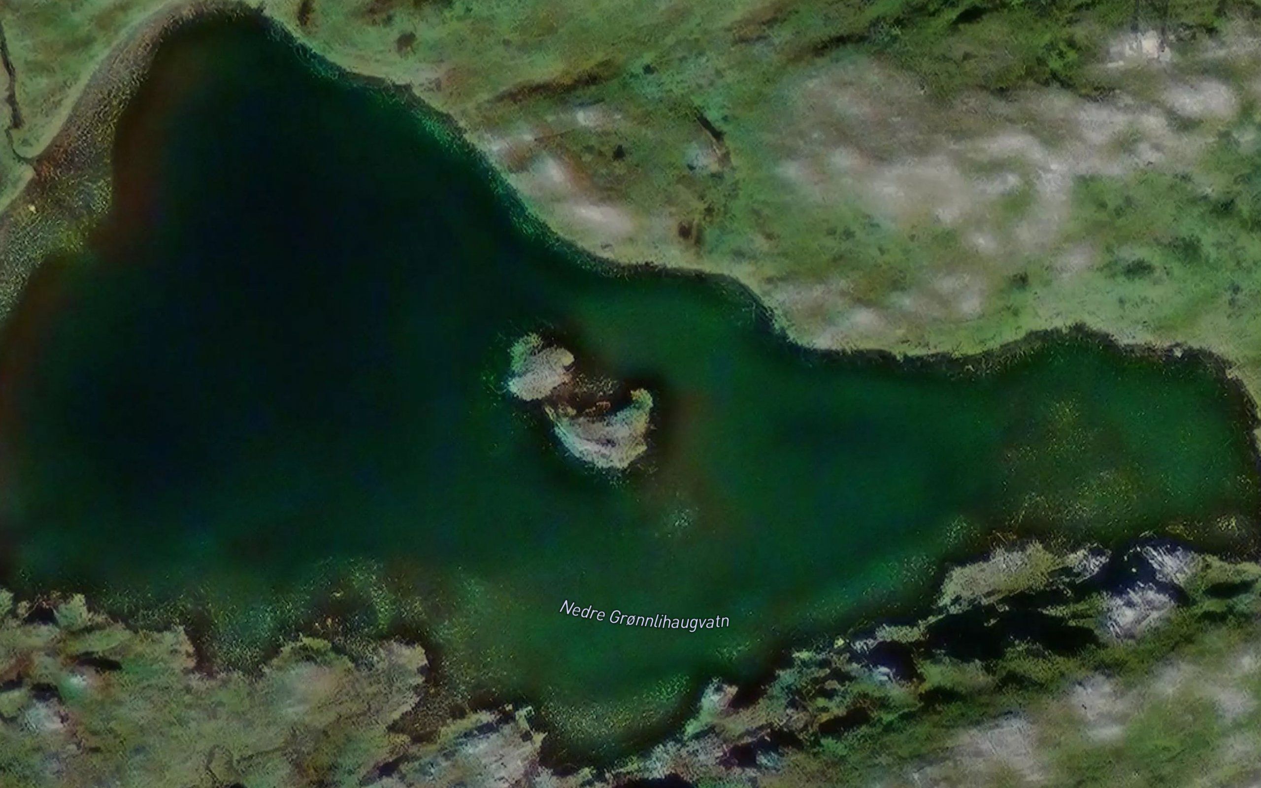 Nedre Gronnlihaugvatn