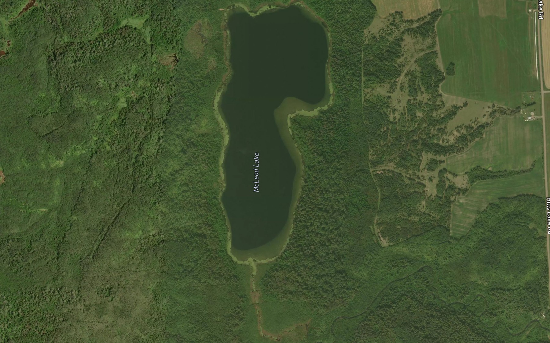Satellite map of the McLeod Lake