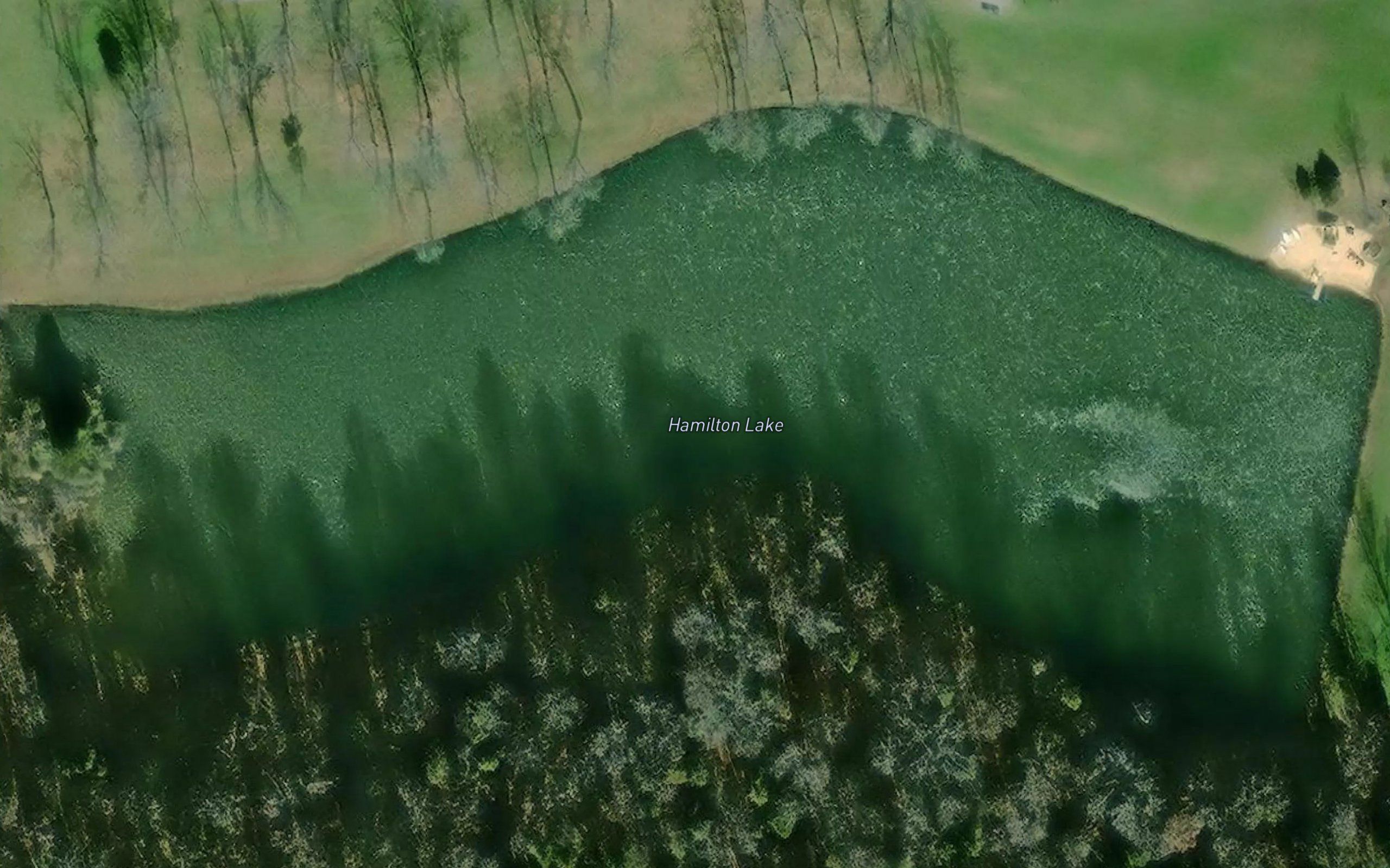 Hamilton Lake