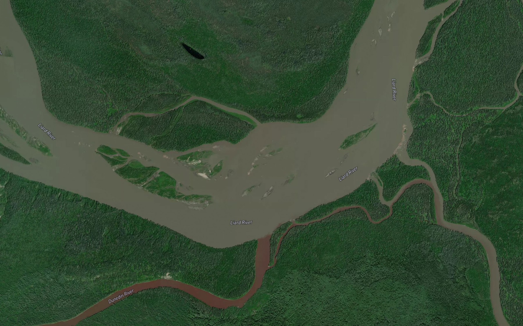 Satellite map of the Dunedin River